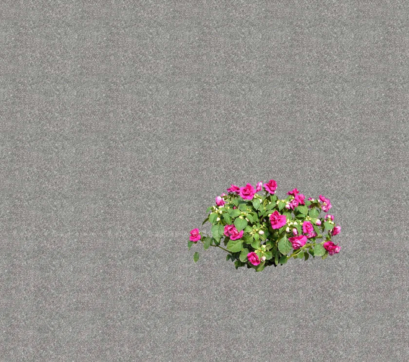 花草SU模型下载【ID:1201469155】