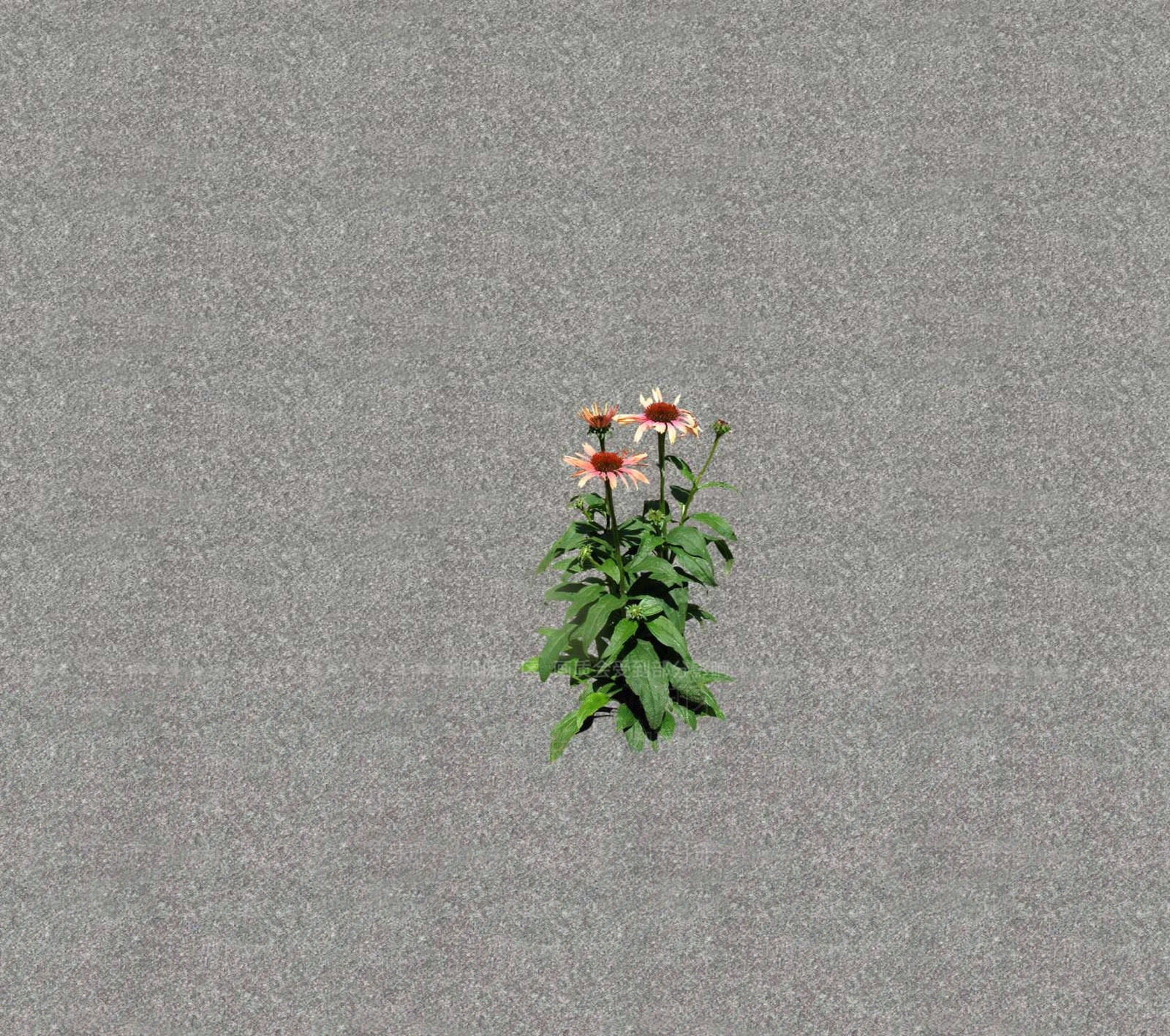 花草SU模型下载【ID:1201469199】