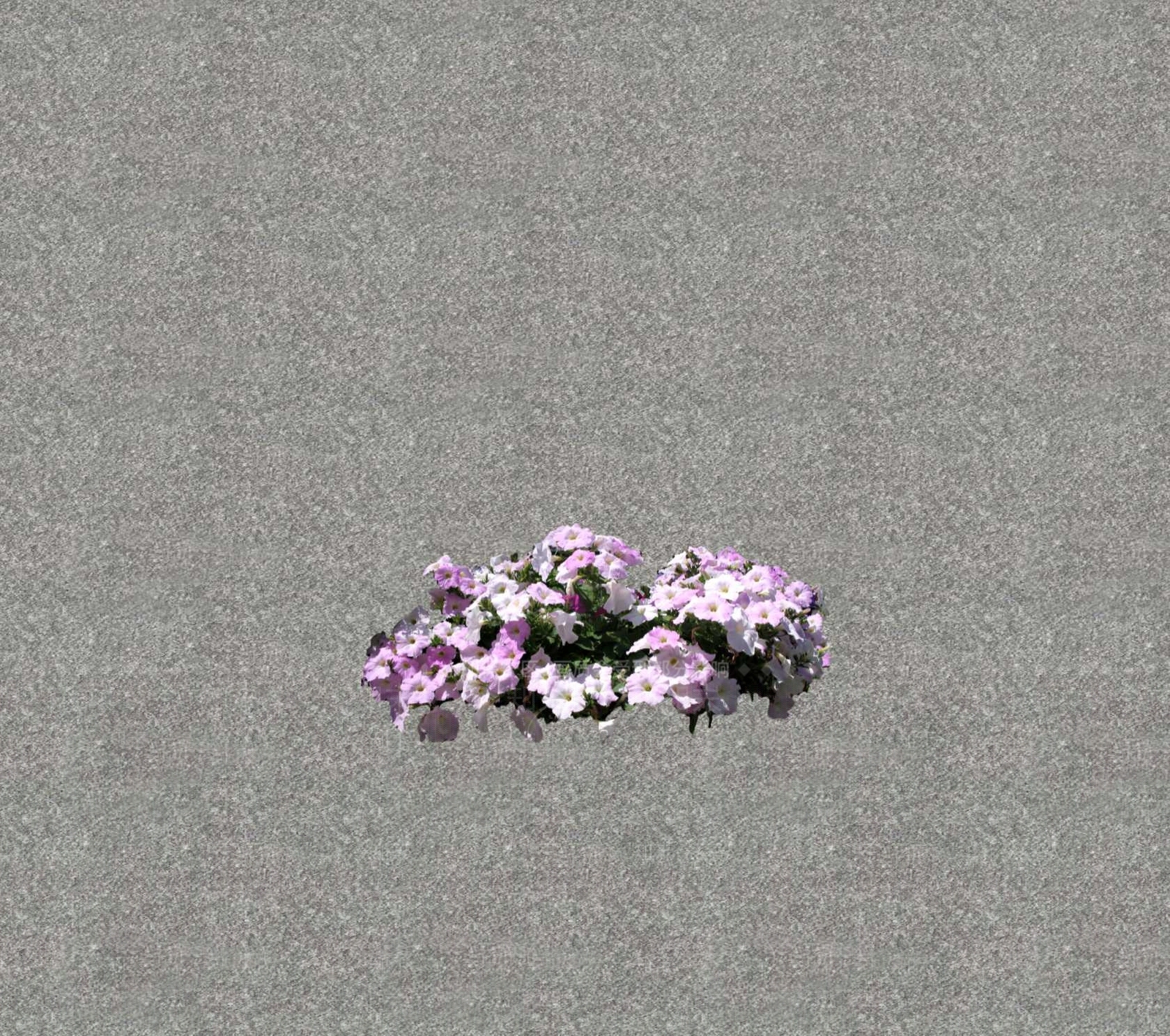 花草SU模型下载【ID:1201469216】