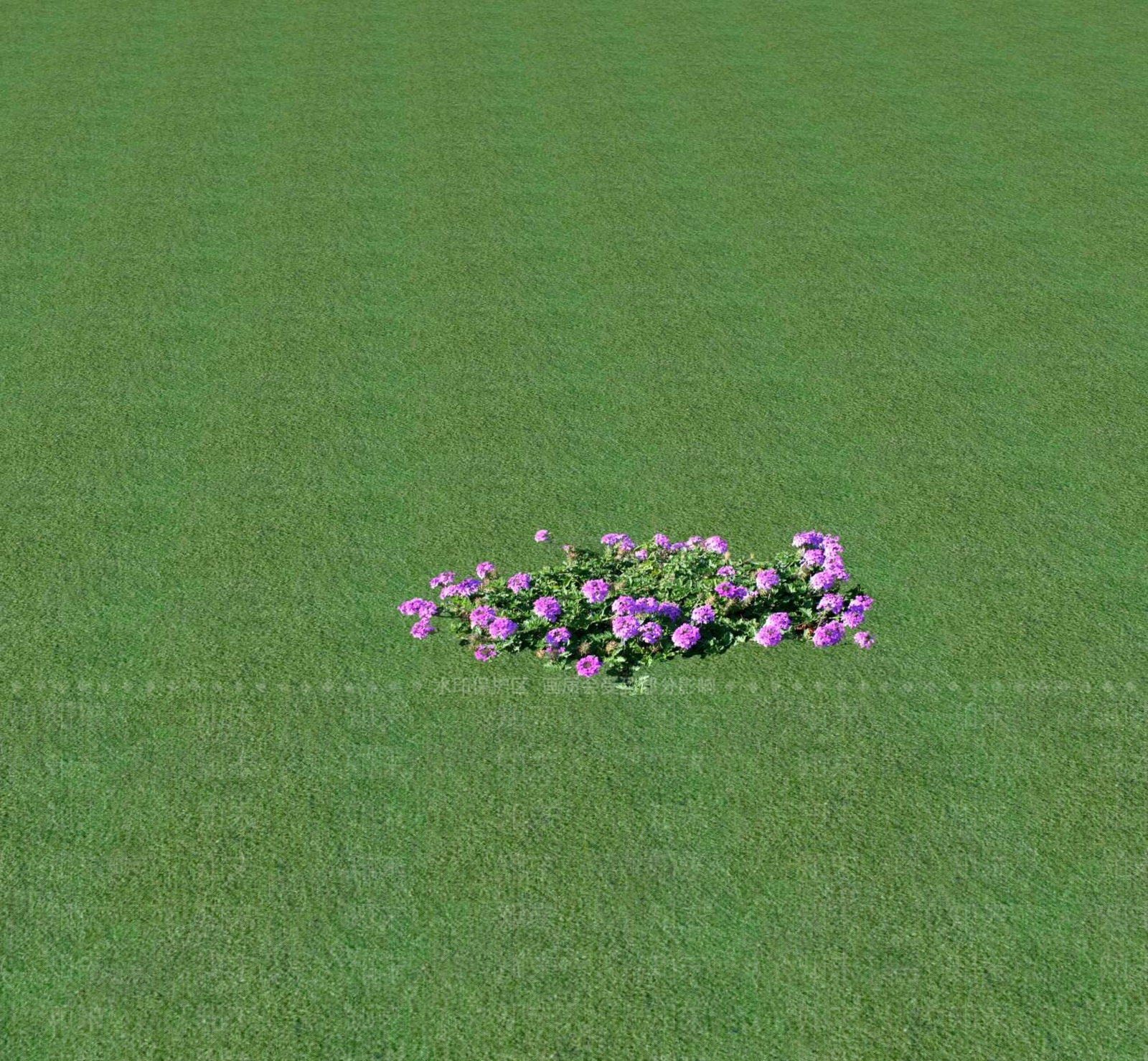 花草SU模型下载【ID:1201469451】