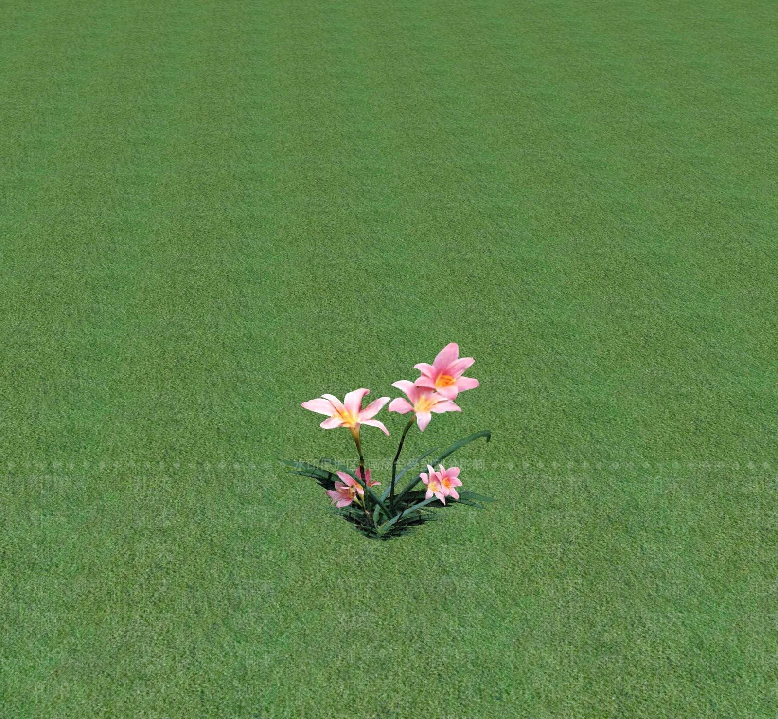花草SU模型下载【ID:1201469465】