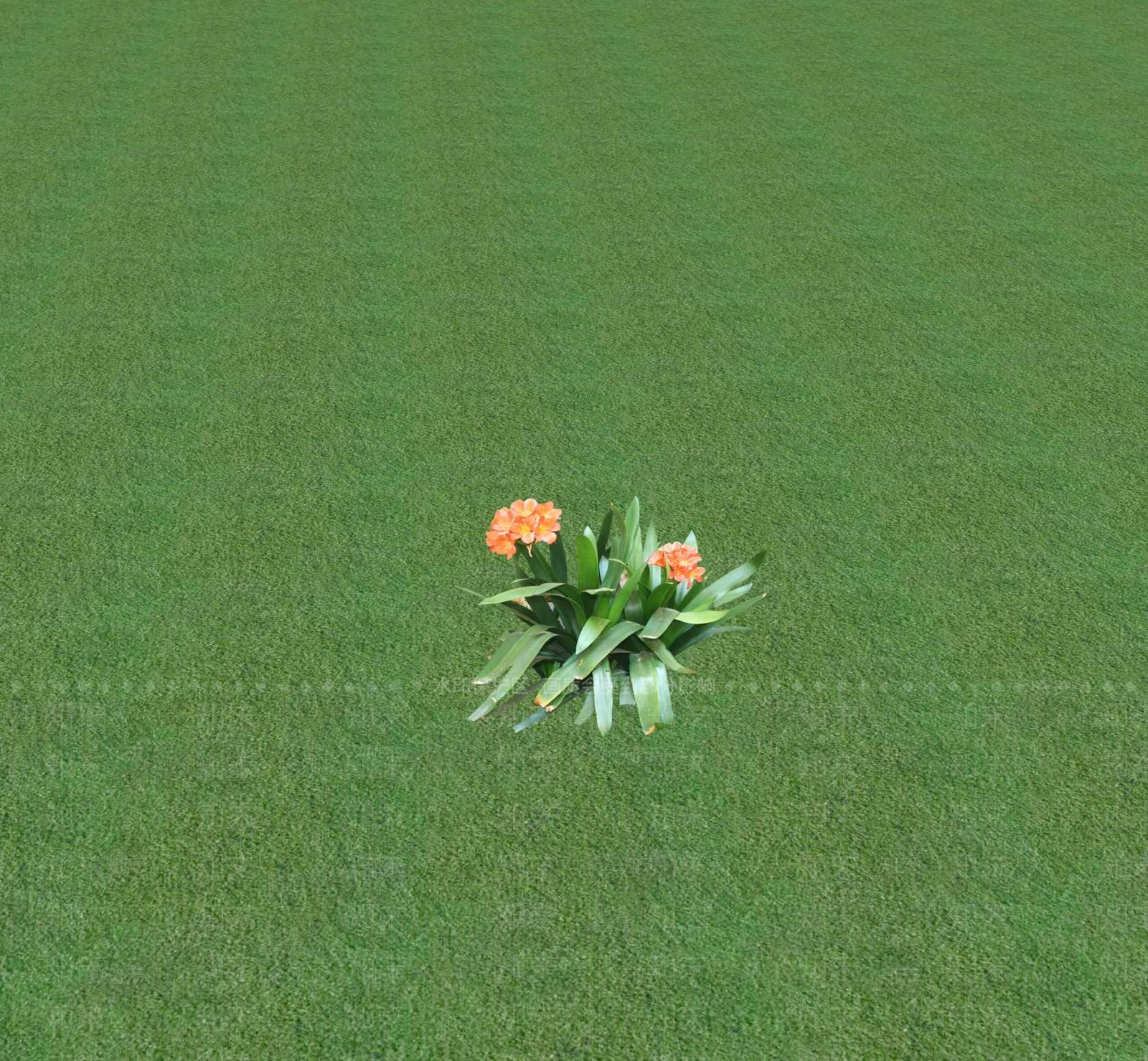 花草SU模型下载【ID:1201469476】