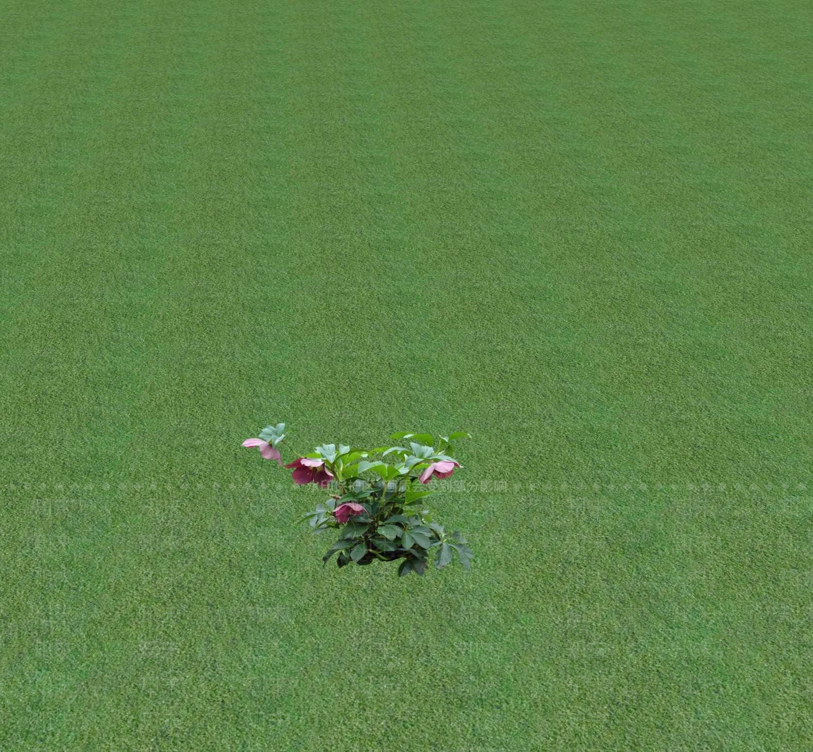 花草SU模型下载【ID:1201469864】