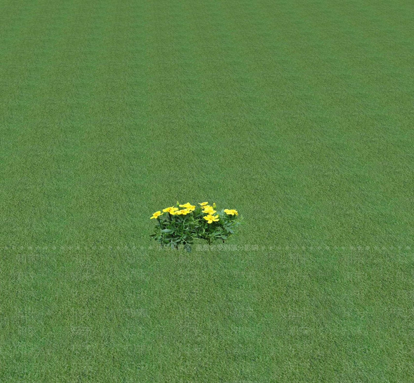 花草SU模型下载【ID:1201470094】