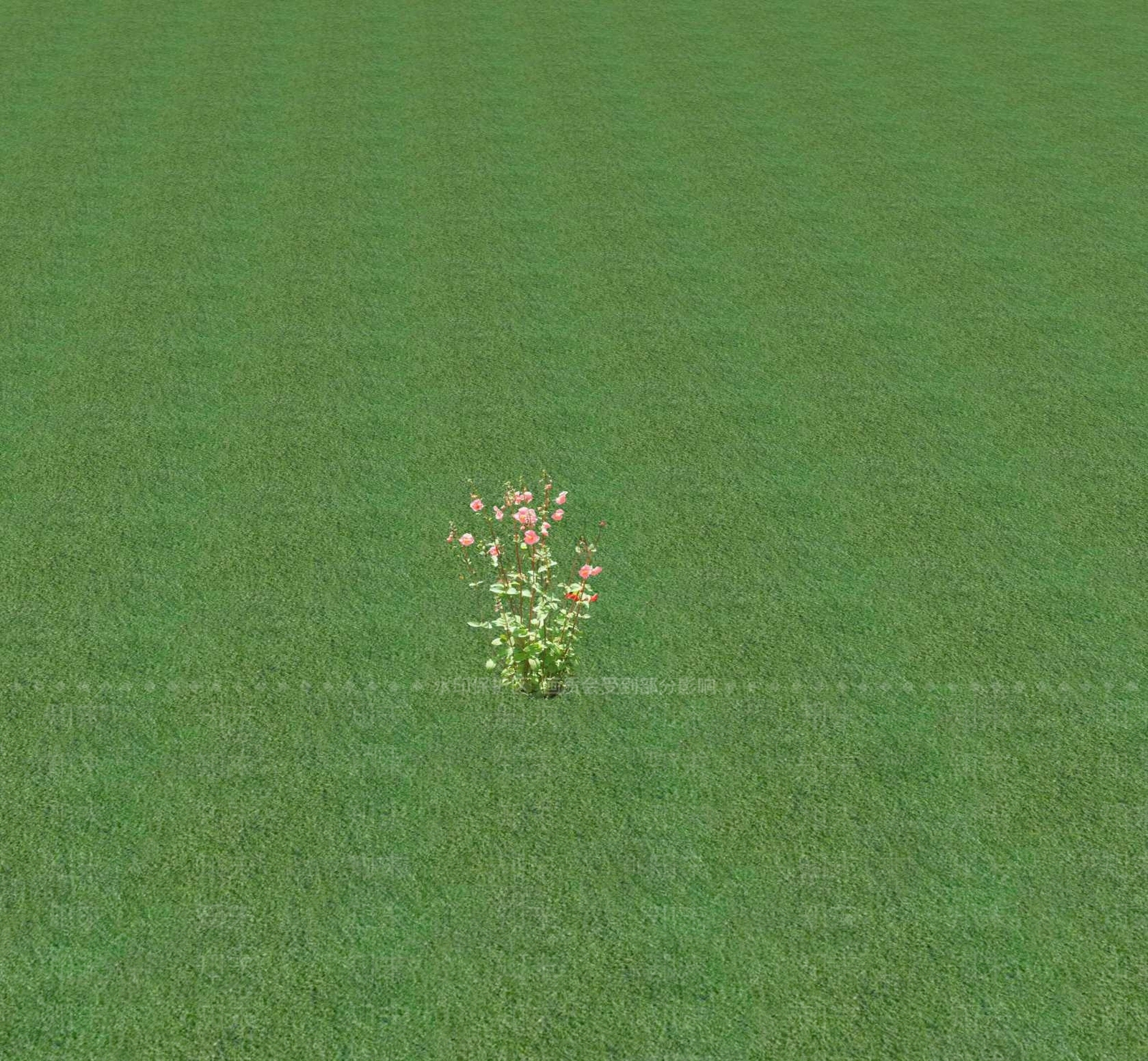 花草SU模型下载【ID:1201470058】