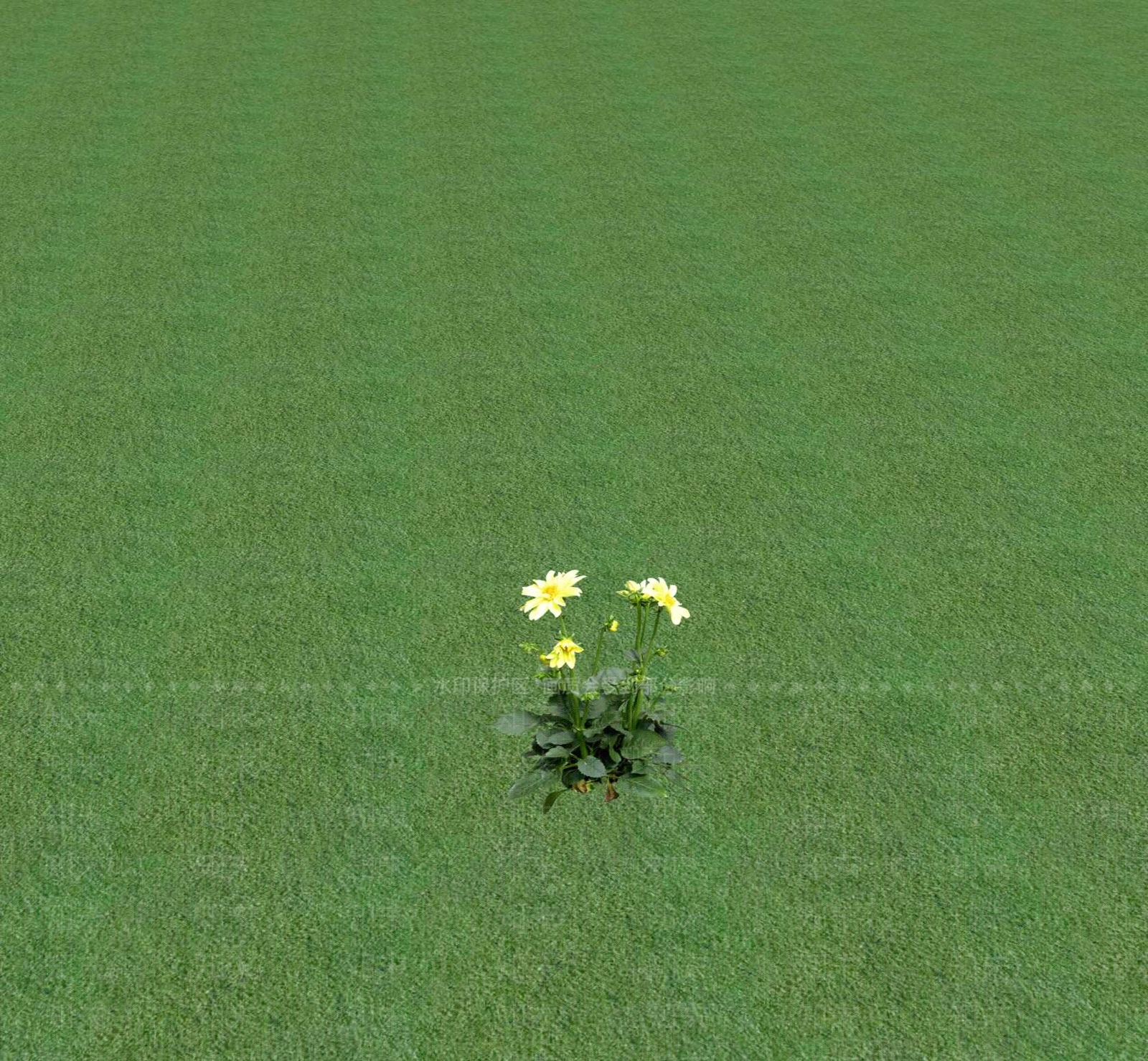 花草SU模型下载【ID:1201470625】