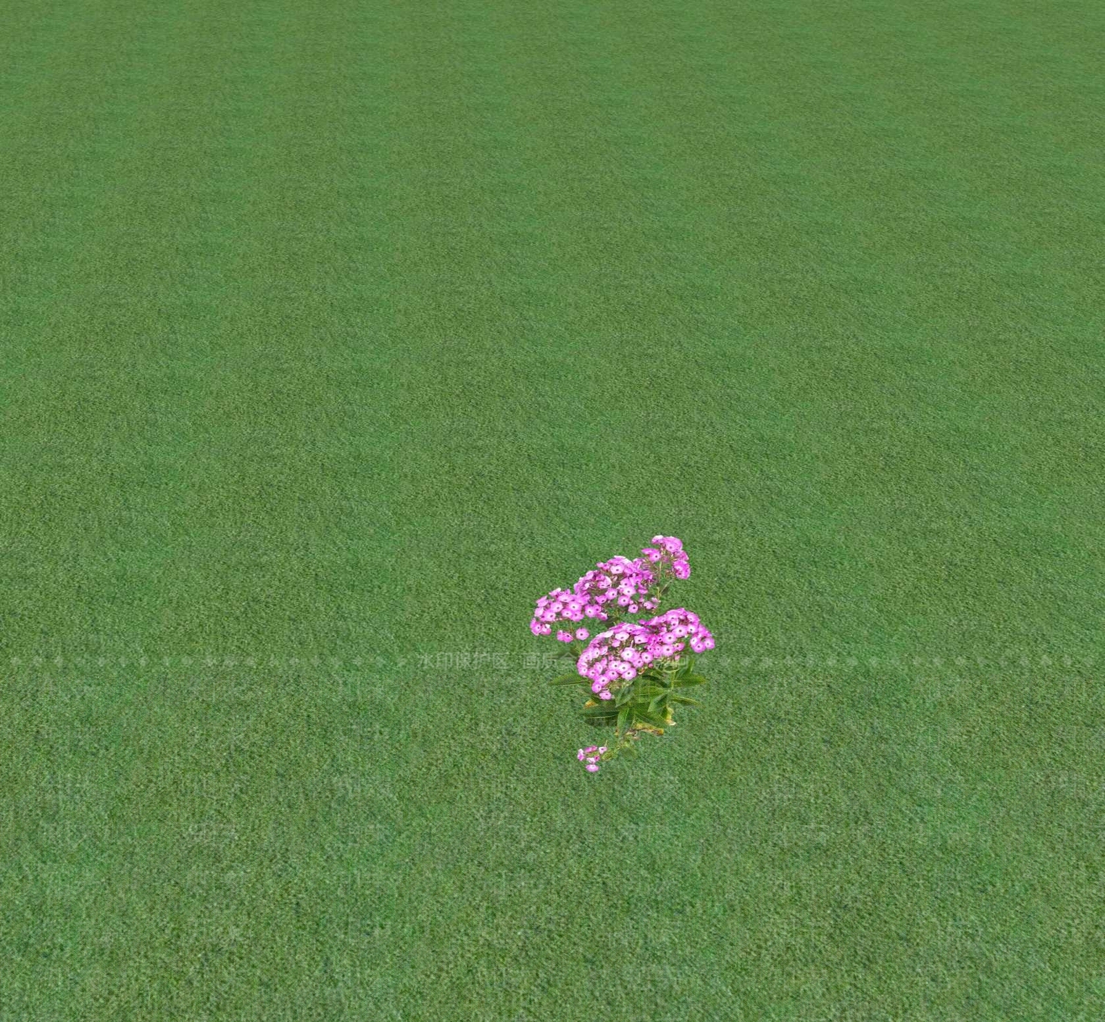 花草SU模型下载【ID:1201470773】