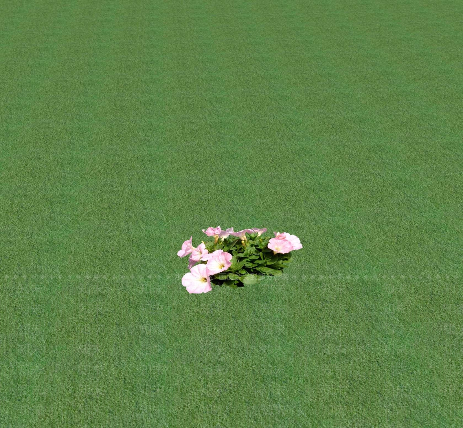 花草SU模型下载【ID:1201470795】
