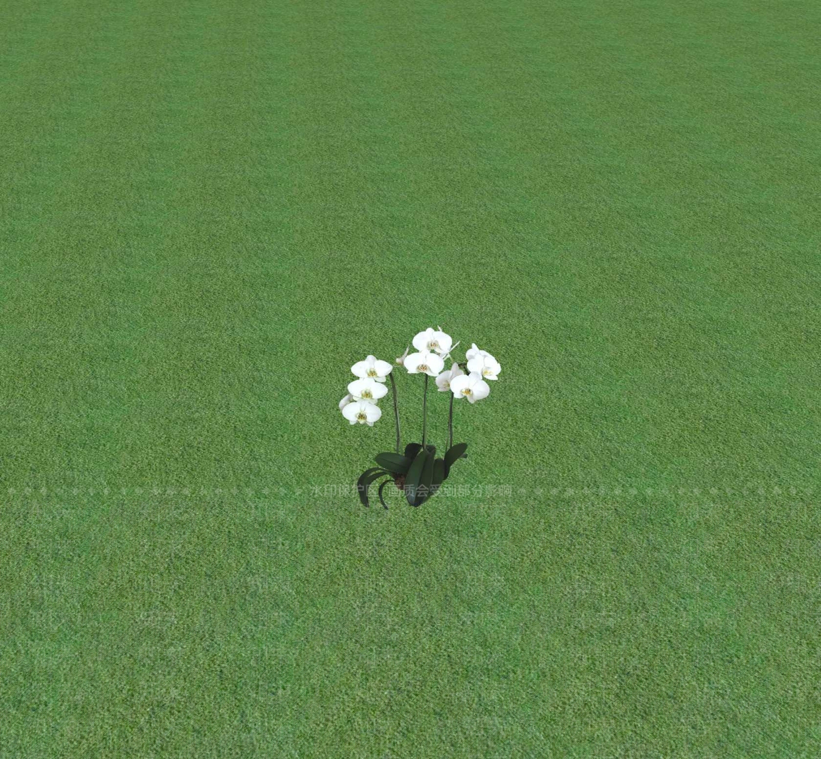 花草SU模型下载【ID:1201470885】