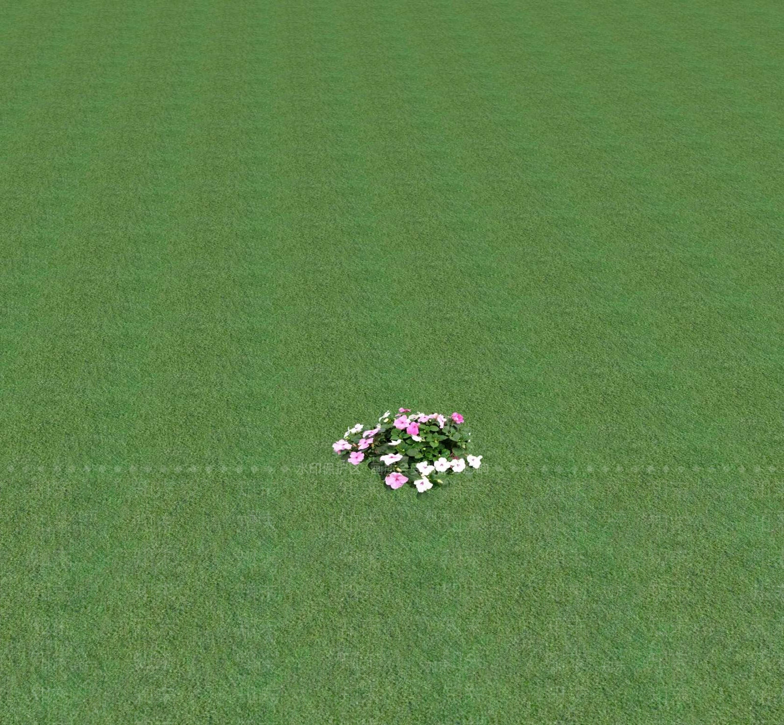 花草SU模型下载【ID:1201471069】