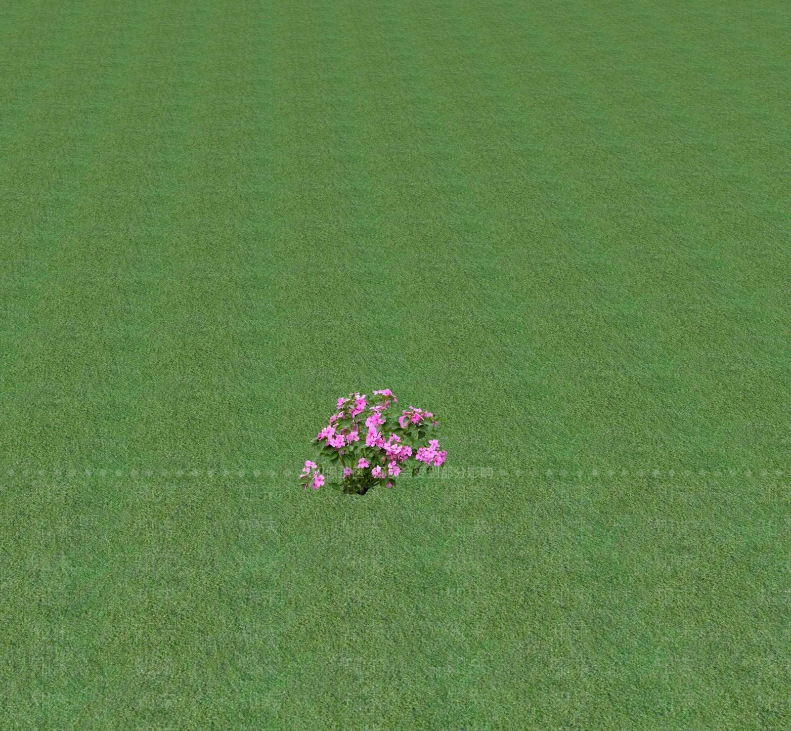 2D花草SU模型下载【ID:1201471198】