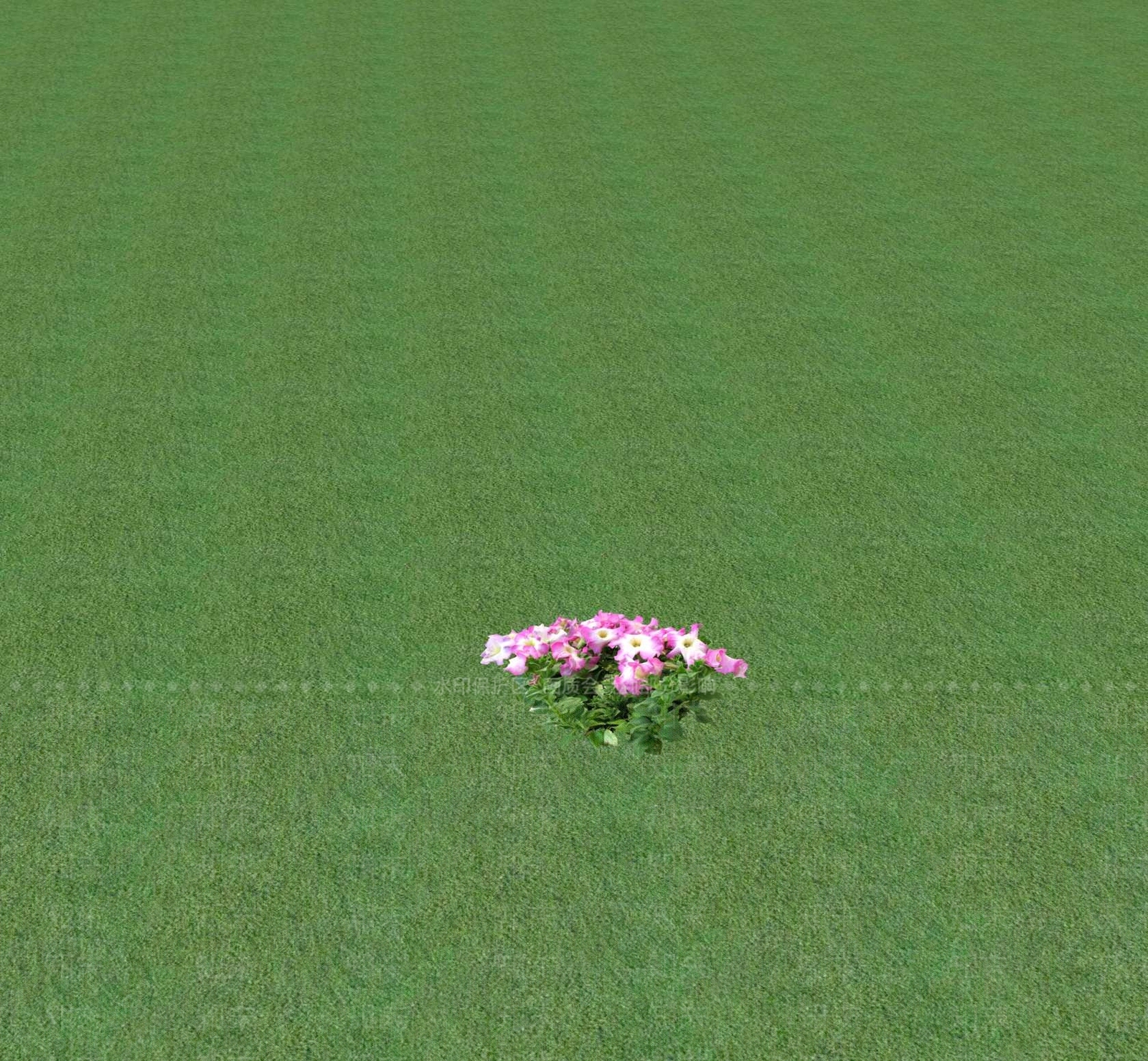 花草SU模型下载【ID:1201471230】