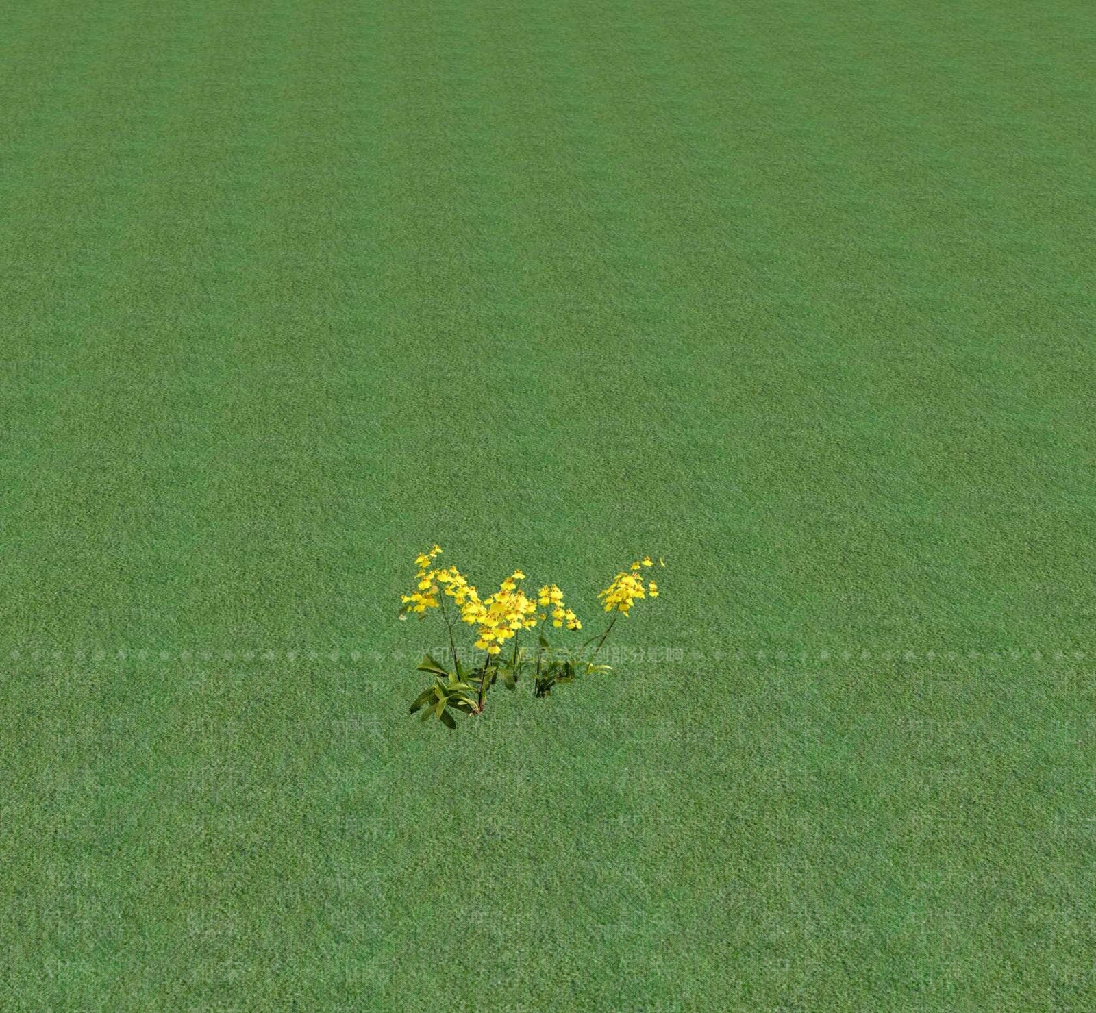 花草SU模型下载【ID:1201471236】