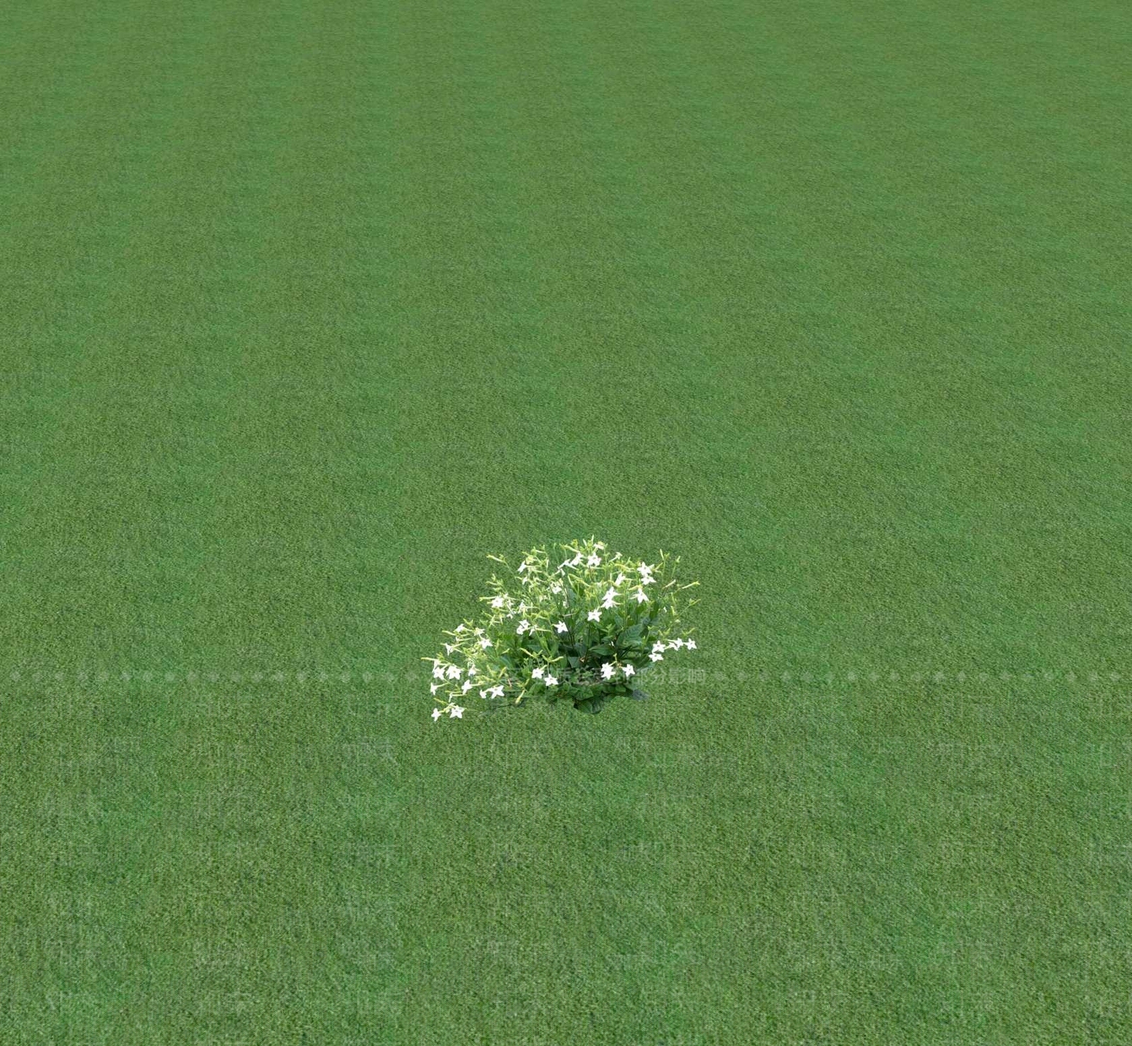 花草SU模型下载【ID:1201471541】