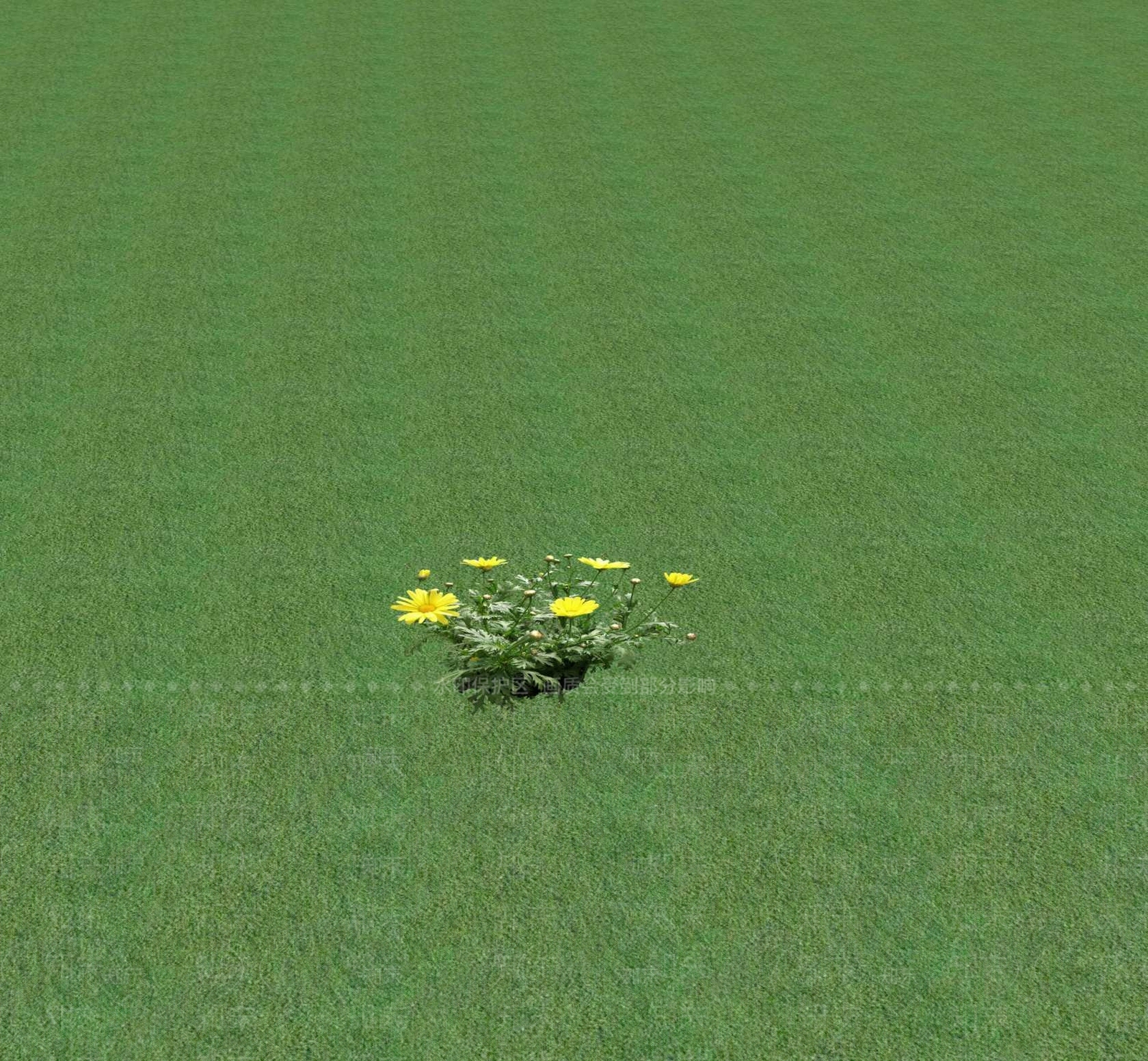 花草SU模型下载【ID:1201471519】