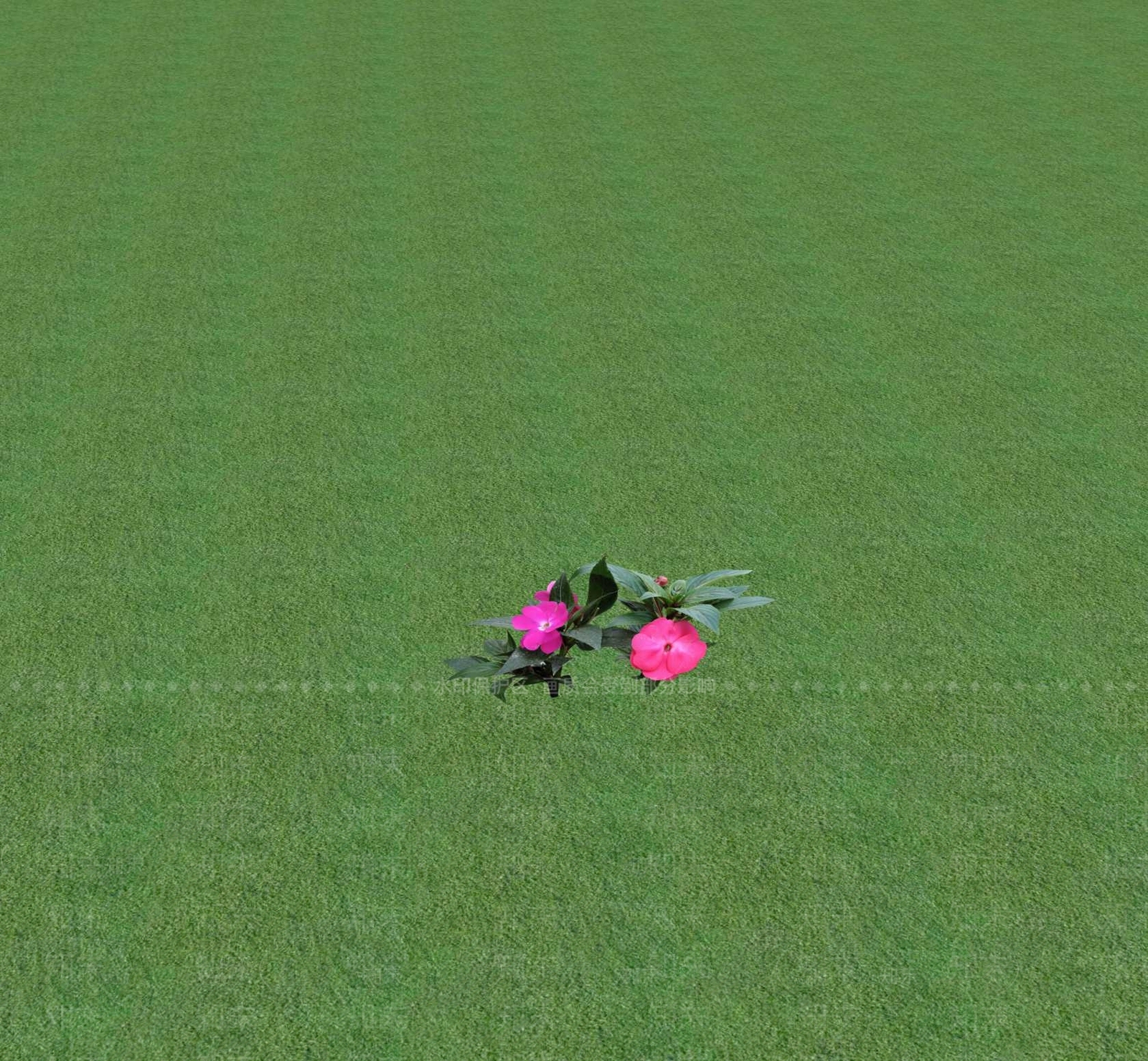 花草SU模型下载【ID:1201471691】