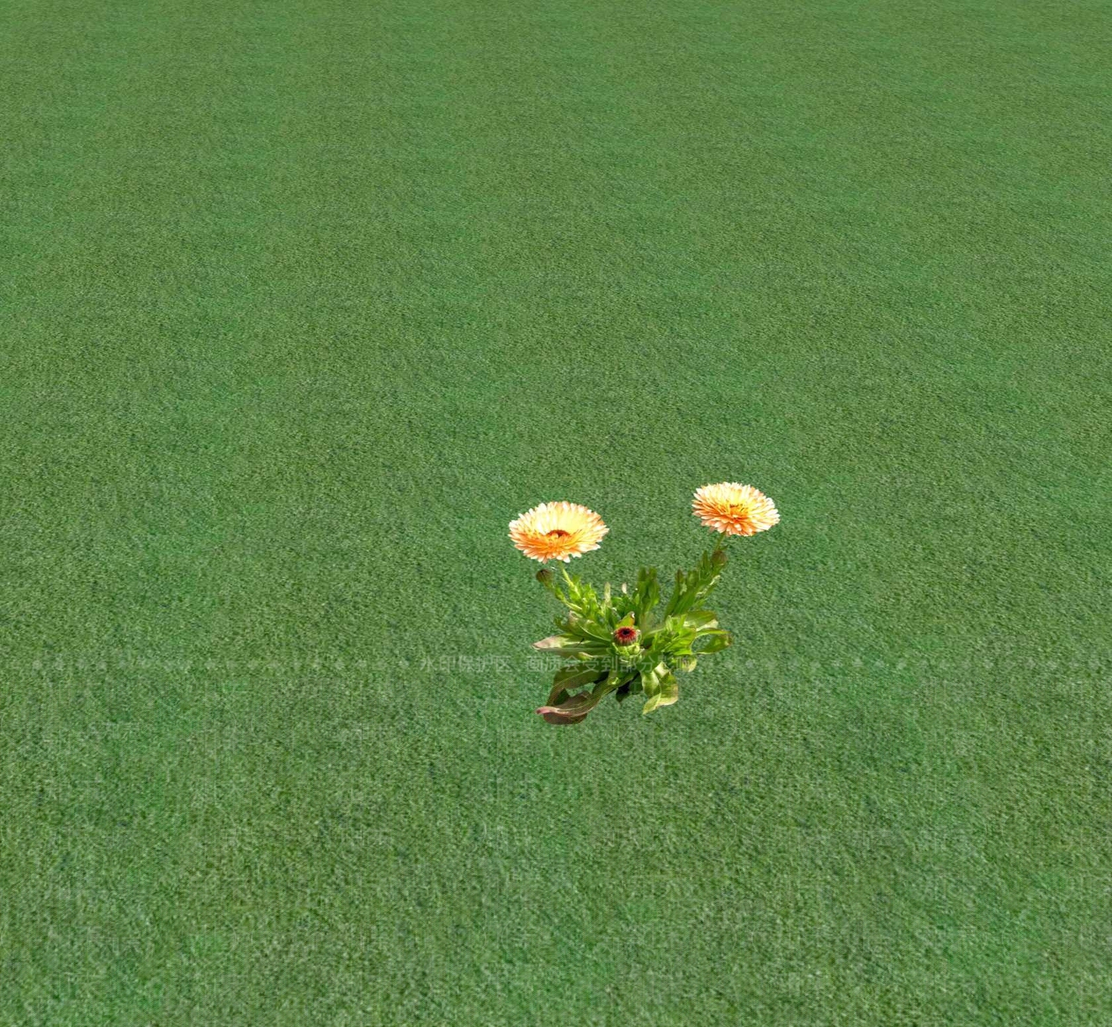 花草SU模型下载【ID:1201472280】