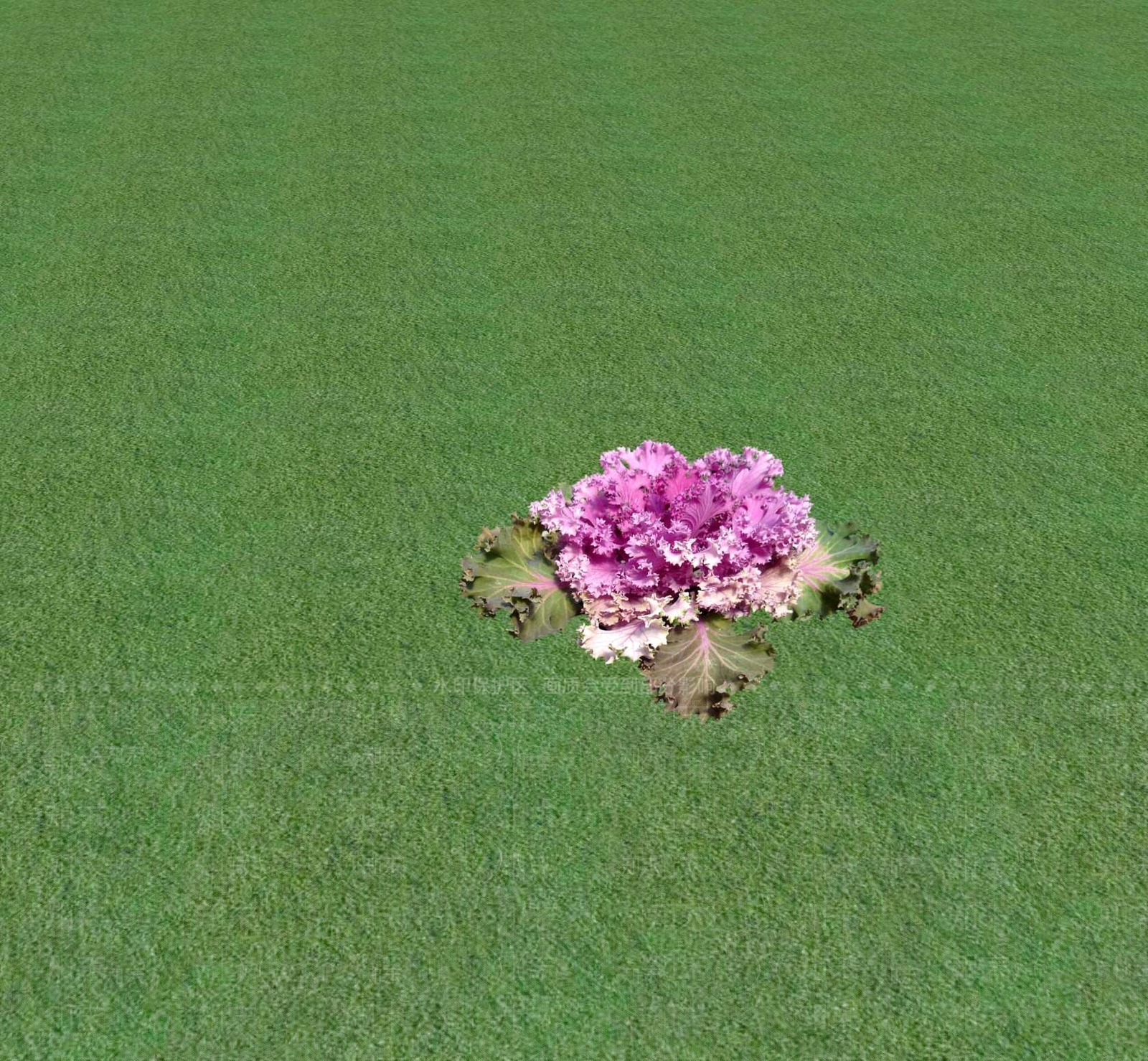 花草SU模型下载【ID:1201472305】