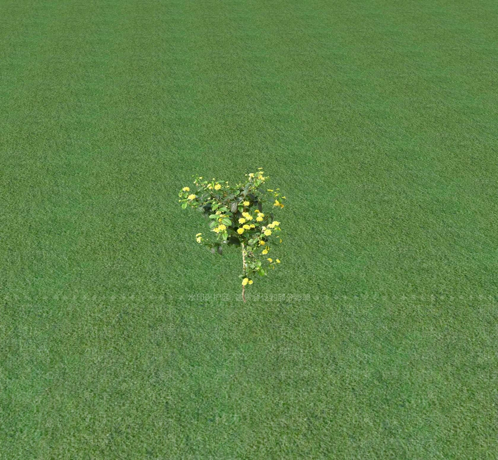 花草SU模型下载【ID:1201472661】