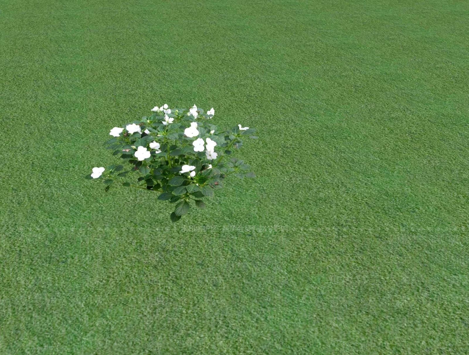 2D乔木SU模型下载【ID:1201480361】