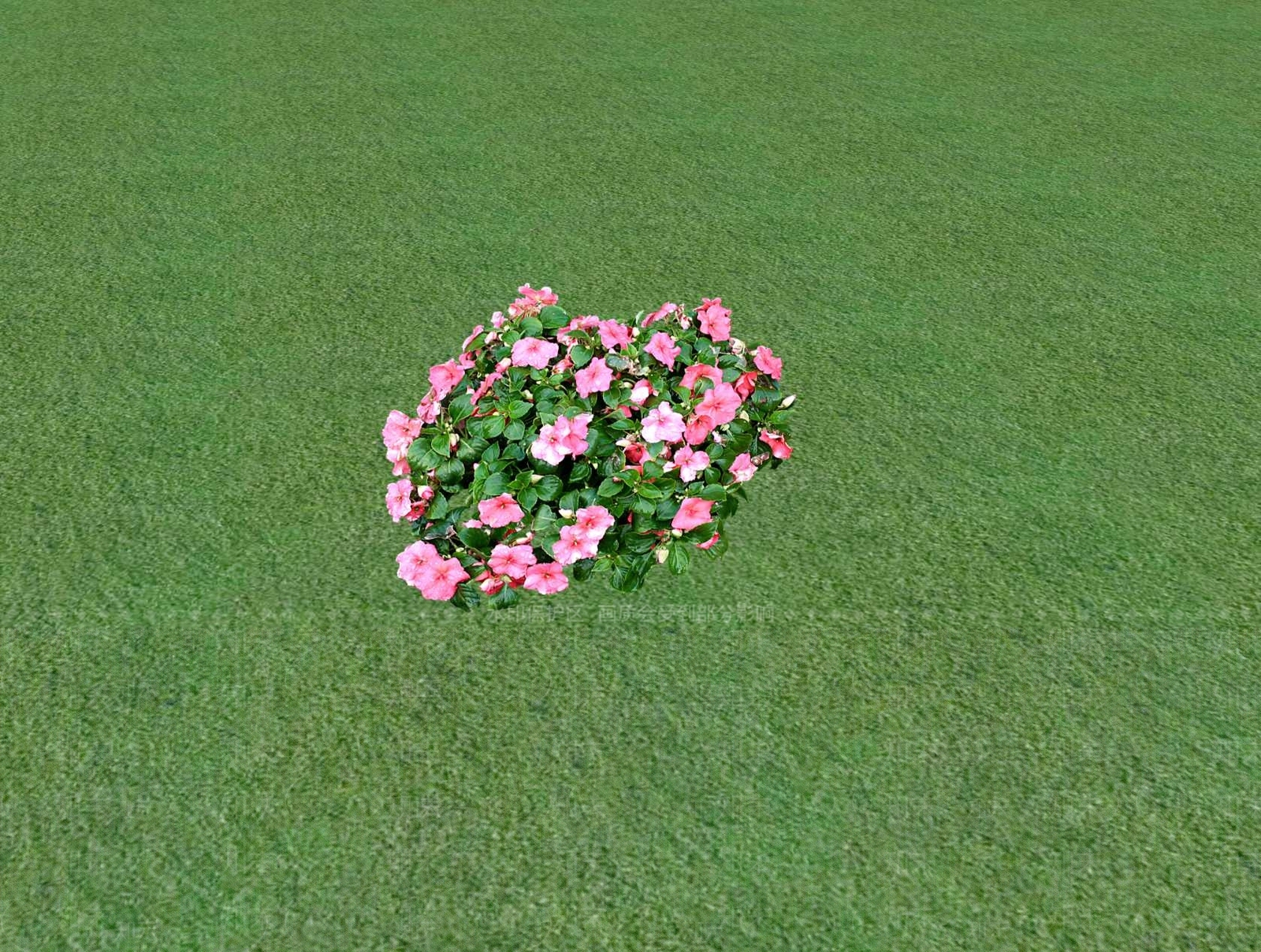 2D乔木SU模型下载【ID:1201480322】