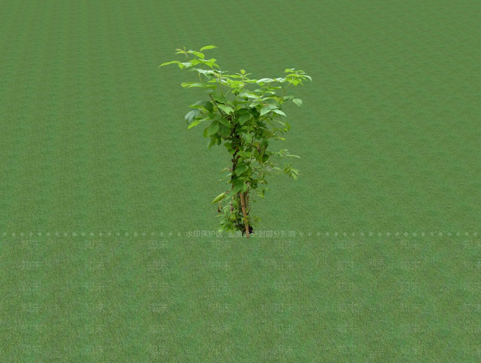 2D乔木SU模型下载【ID:1201480466】