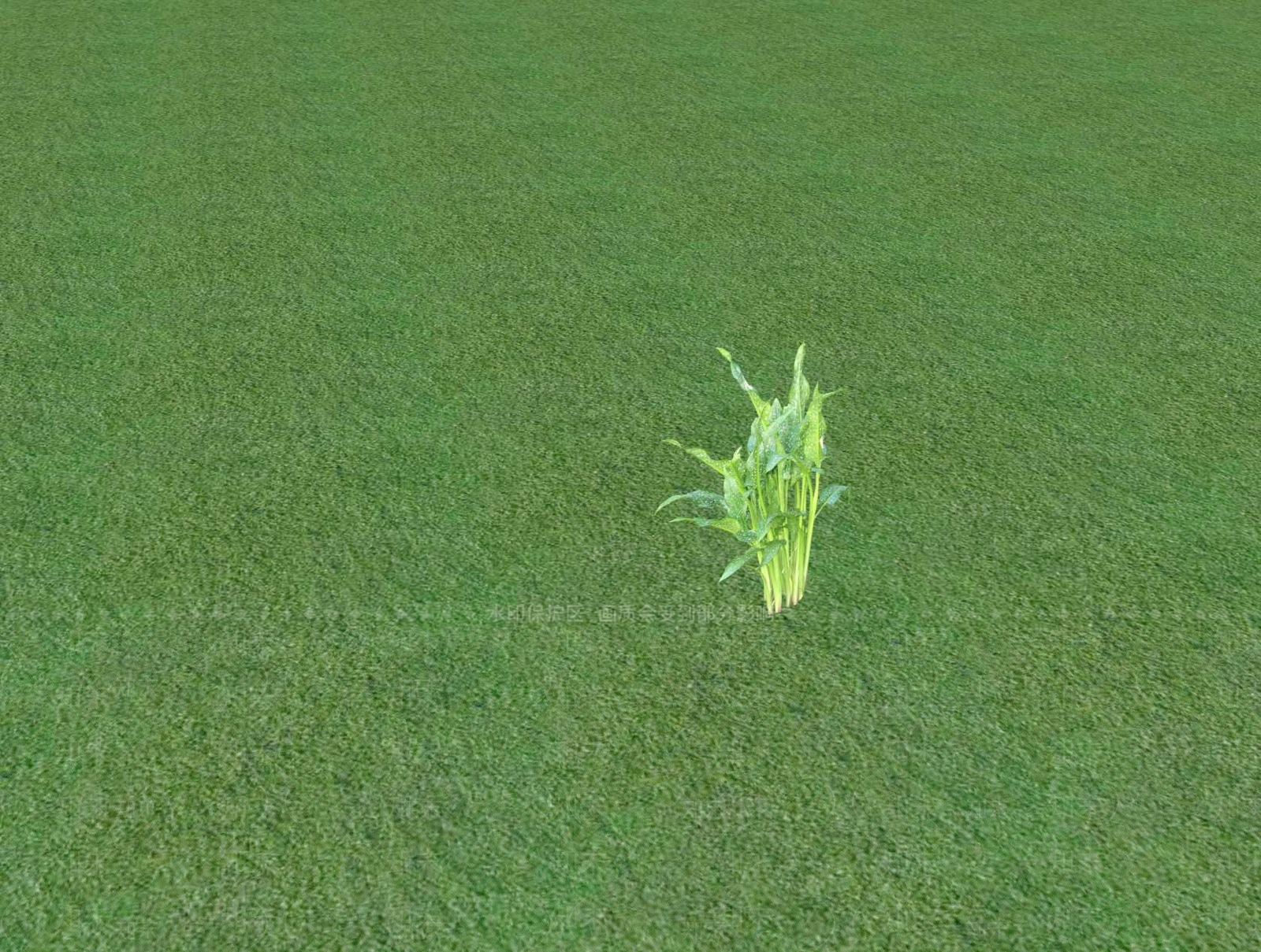 2D乔木SU模型下载【ID:1201480571】
