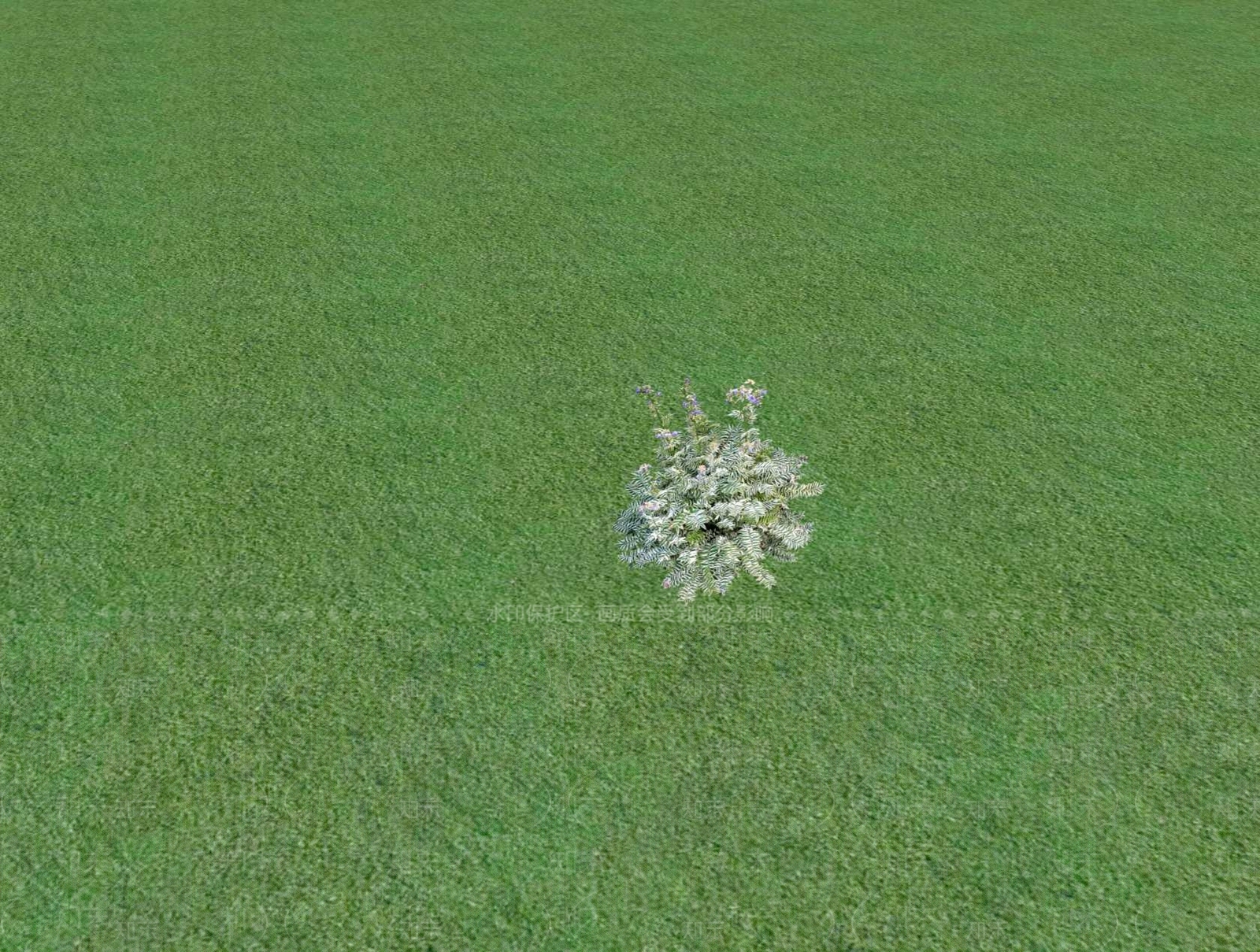 2D乔木SU模型下载【ID:1201480621】
