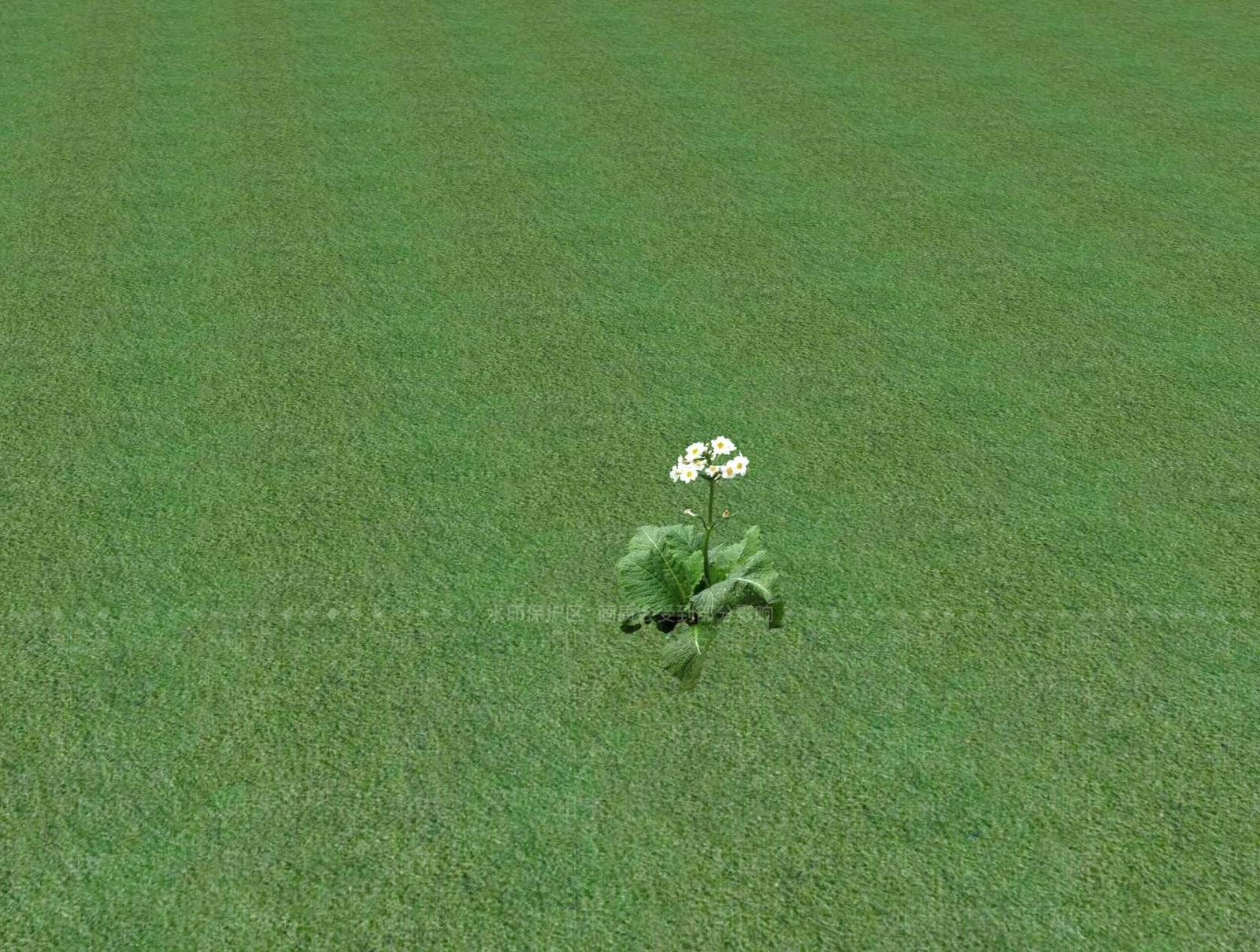 2D乔木SU模型下载【ID:1201480883】