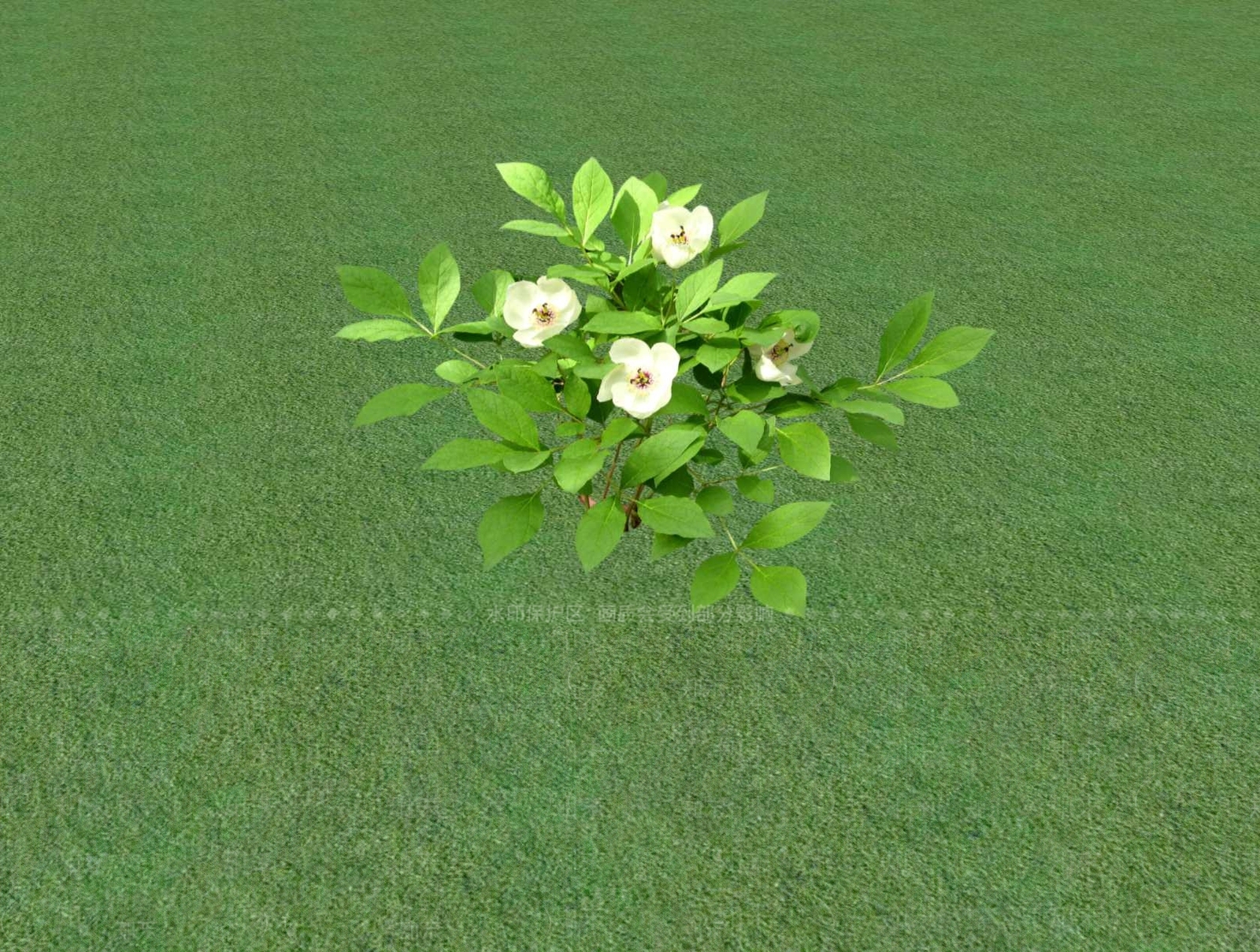 2D乔木SU模型下载【ID:1201480865】