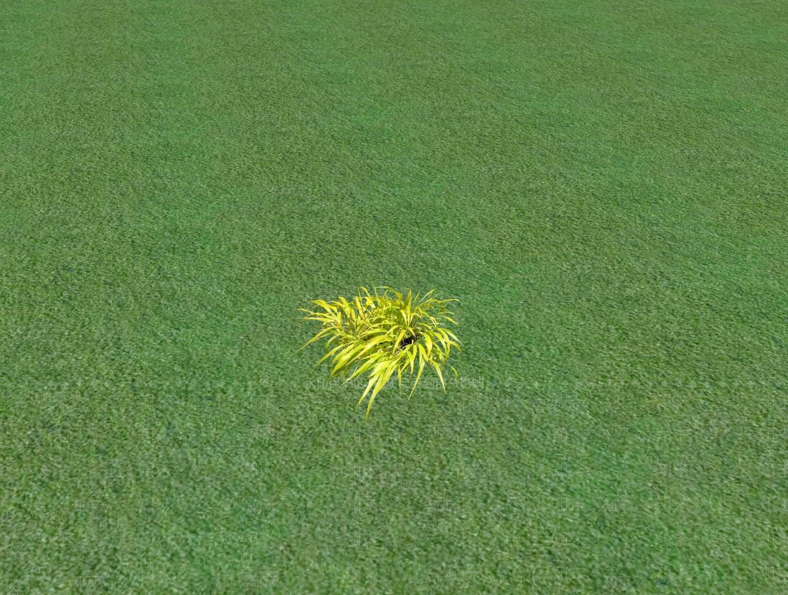 2D乔木SU模型下载【ID:1201480846】