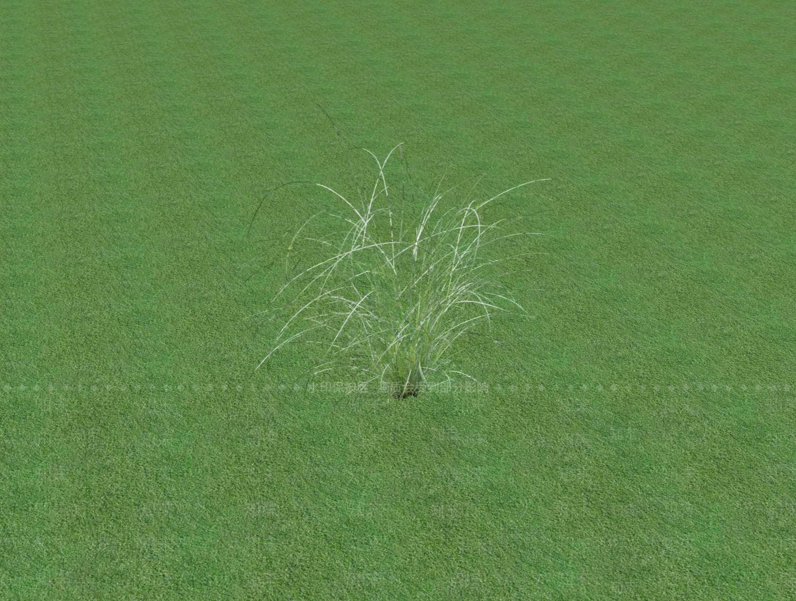 2D乔木SU模型下载【ID:1201480839】