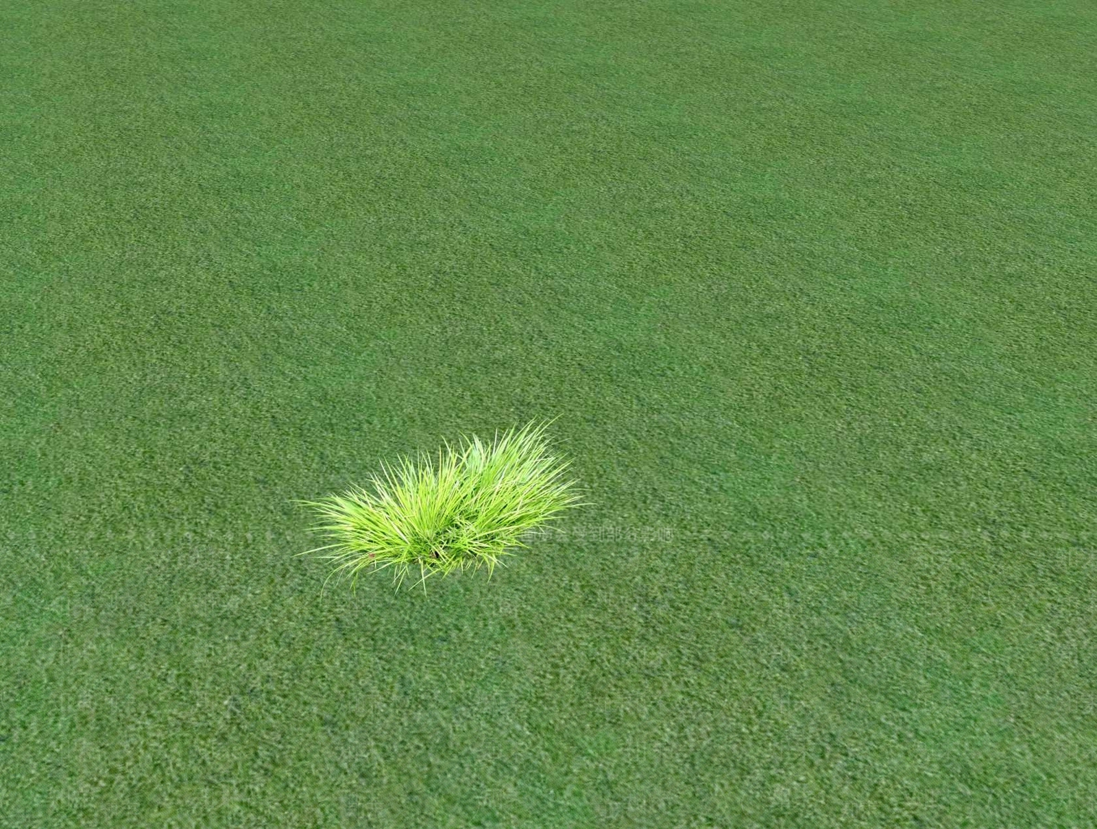 2D乔木SU模型下载【ID:1201480990】