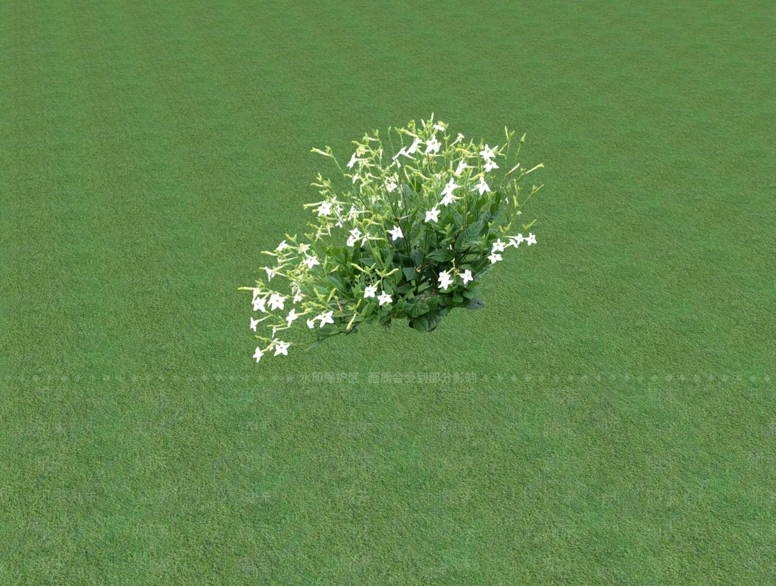 乔木SU模型下载【ID:1201480989】