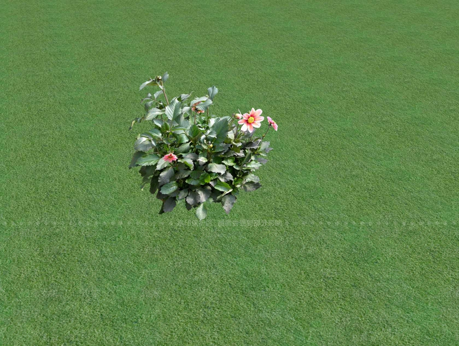 花草SU模型下载【ID:1201481098】