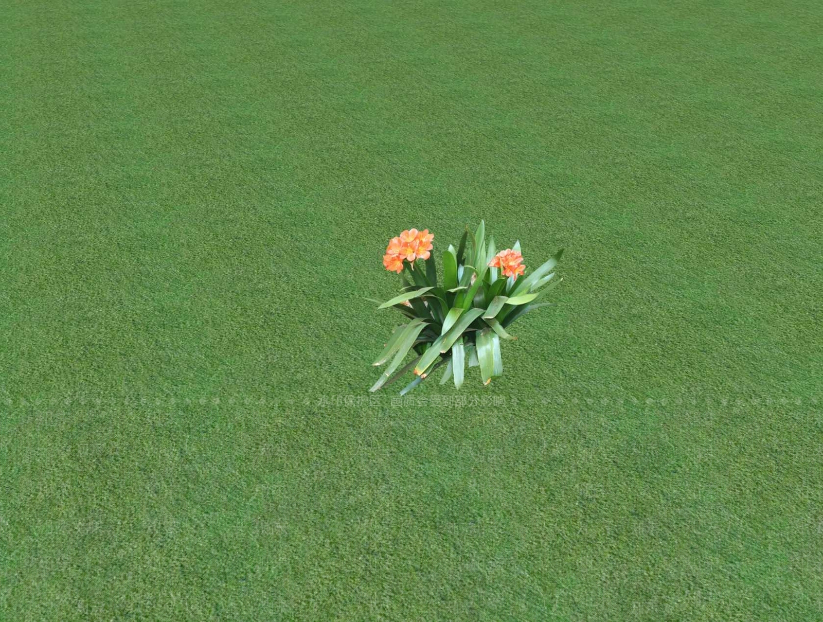 花草SU模型下载【ID:1201481111】