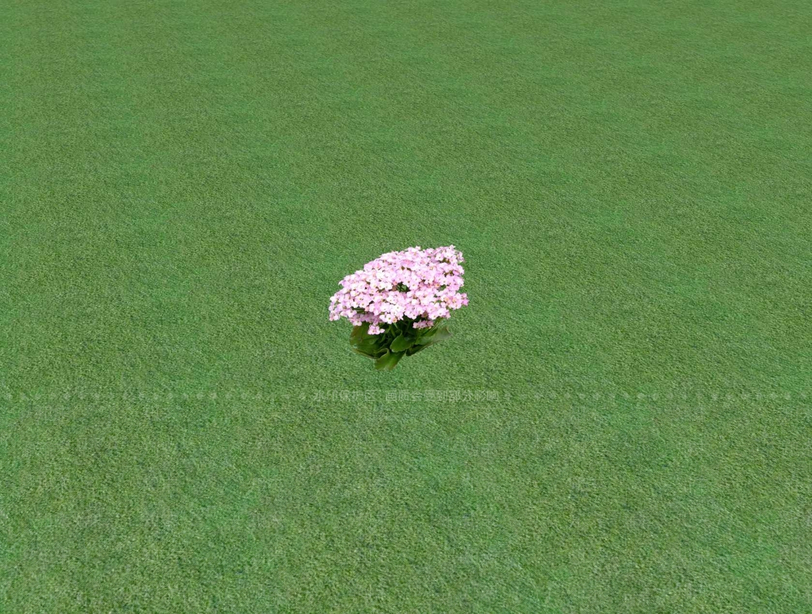花草SU模型下载【ID:1201481102】