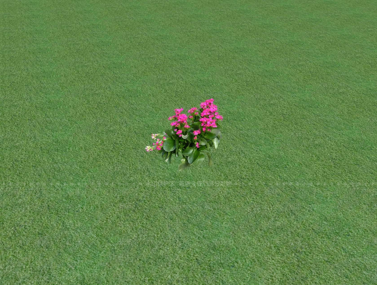 花草SU模型下载【ID:1201481184】