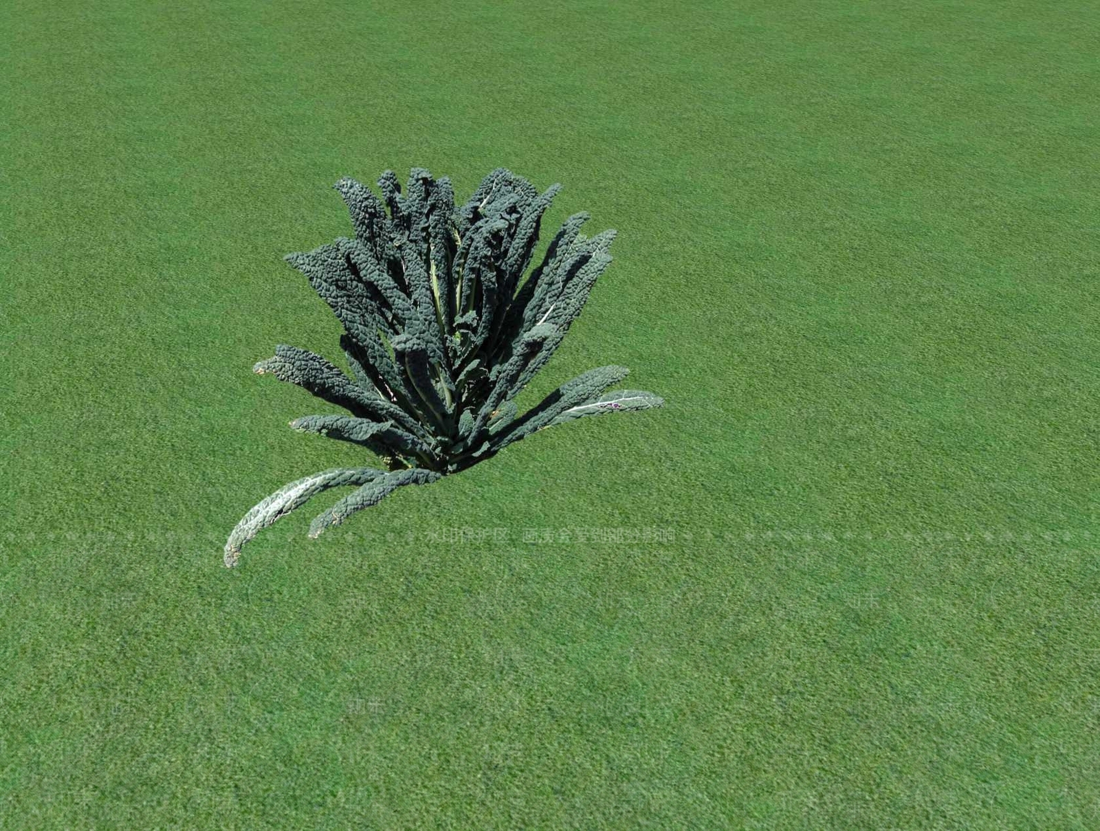 花草SU模型下载【ID:1201481176】