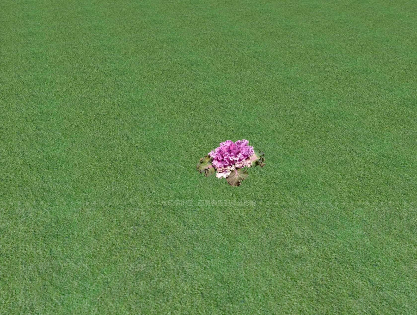 花草SU模型下载【ID:1201481147】