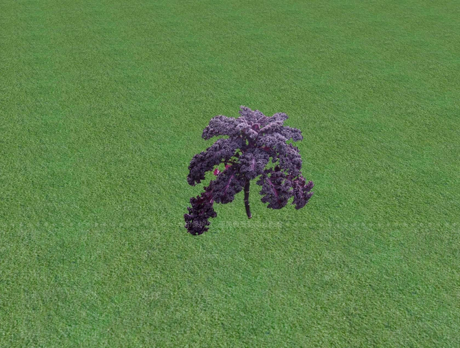 花草SU模型下载【ID:1201481138】