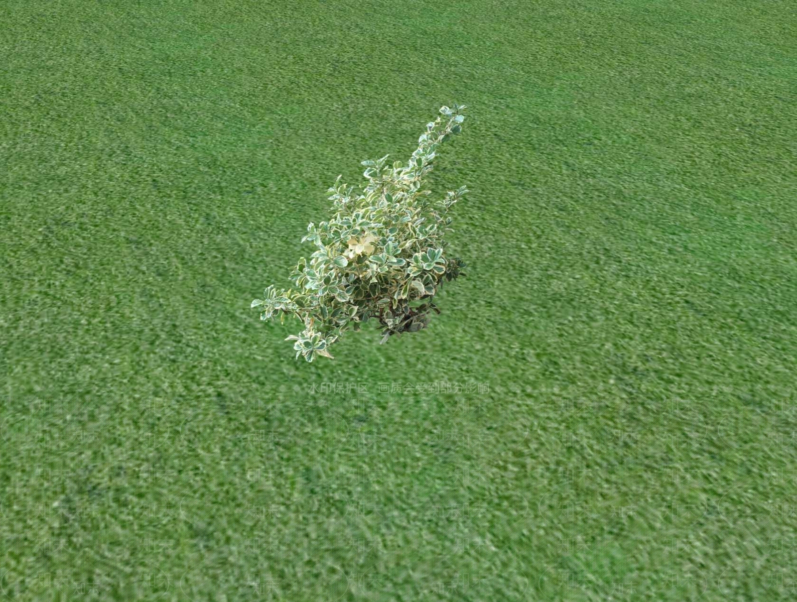 花草SU模型下载【ID:1201481371】