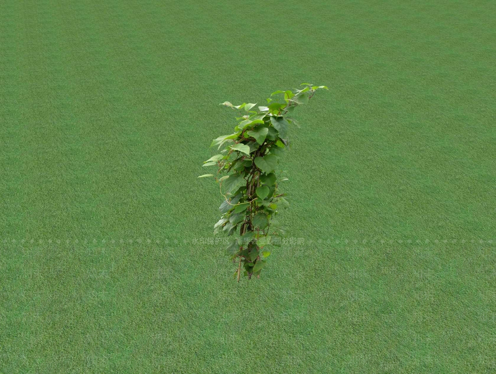花草SU模型下载【ID:1201481450】