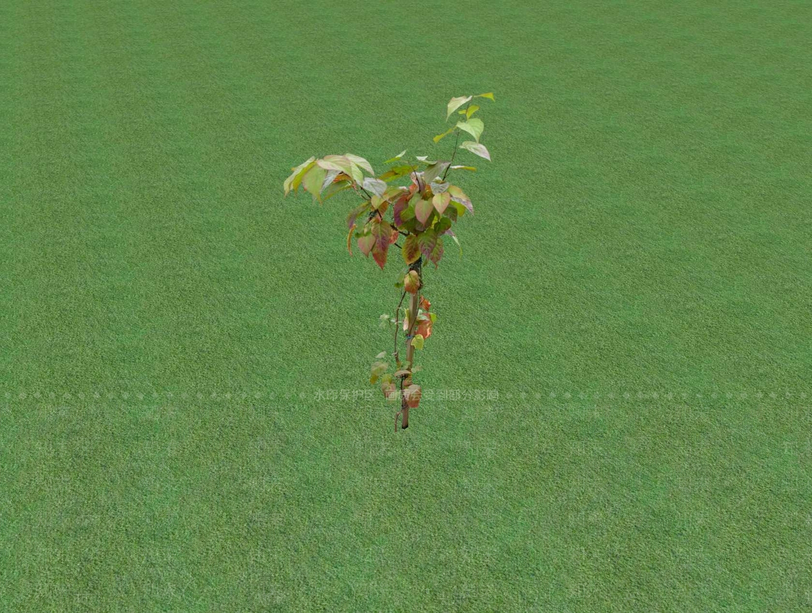 花草SU模型下载【ID:1201481413】