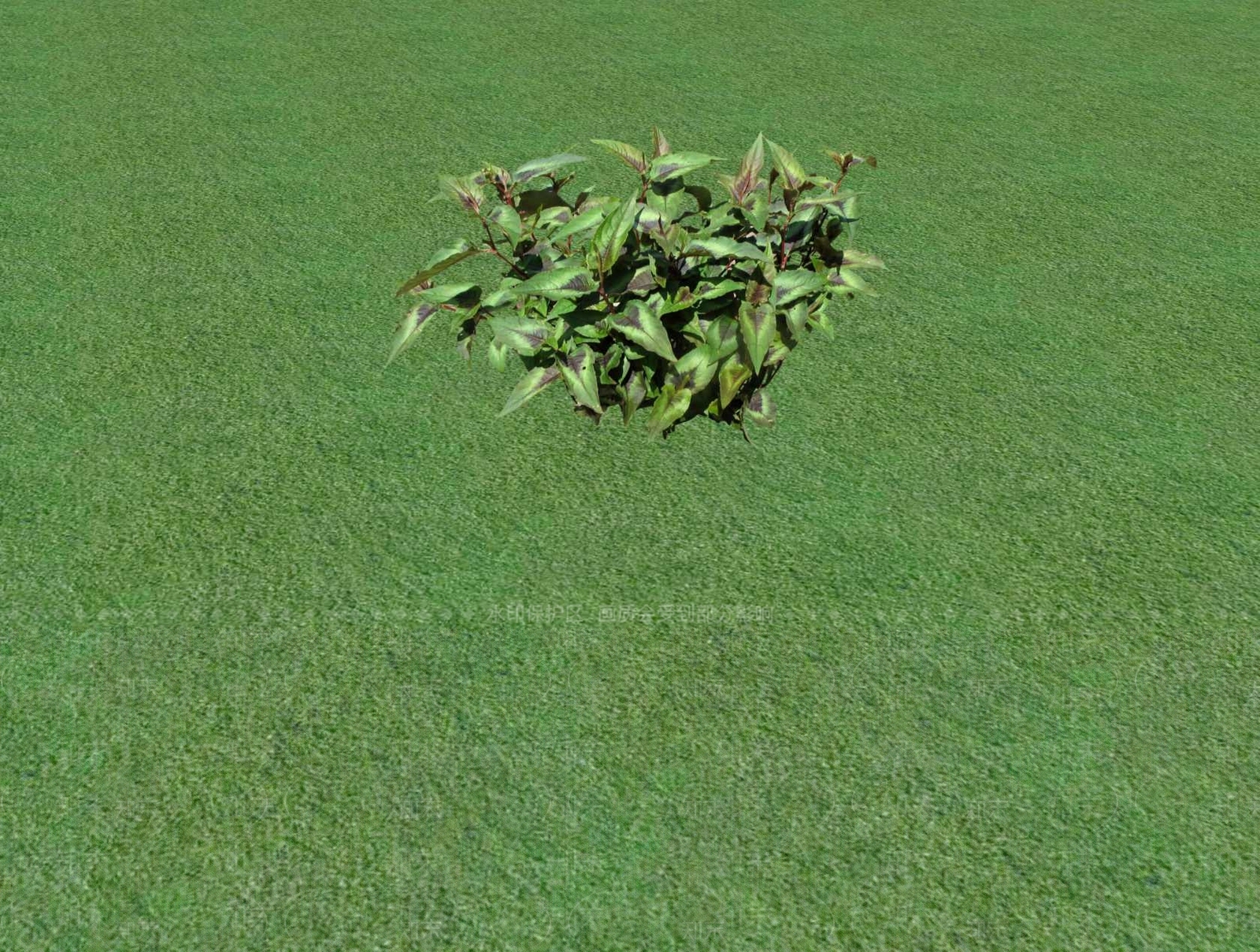 花草SU模型下载【ID:1201481459】