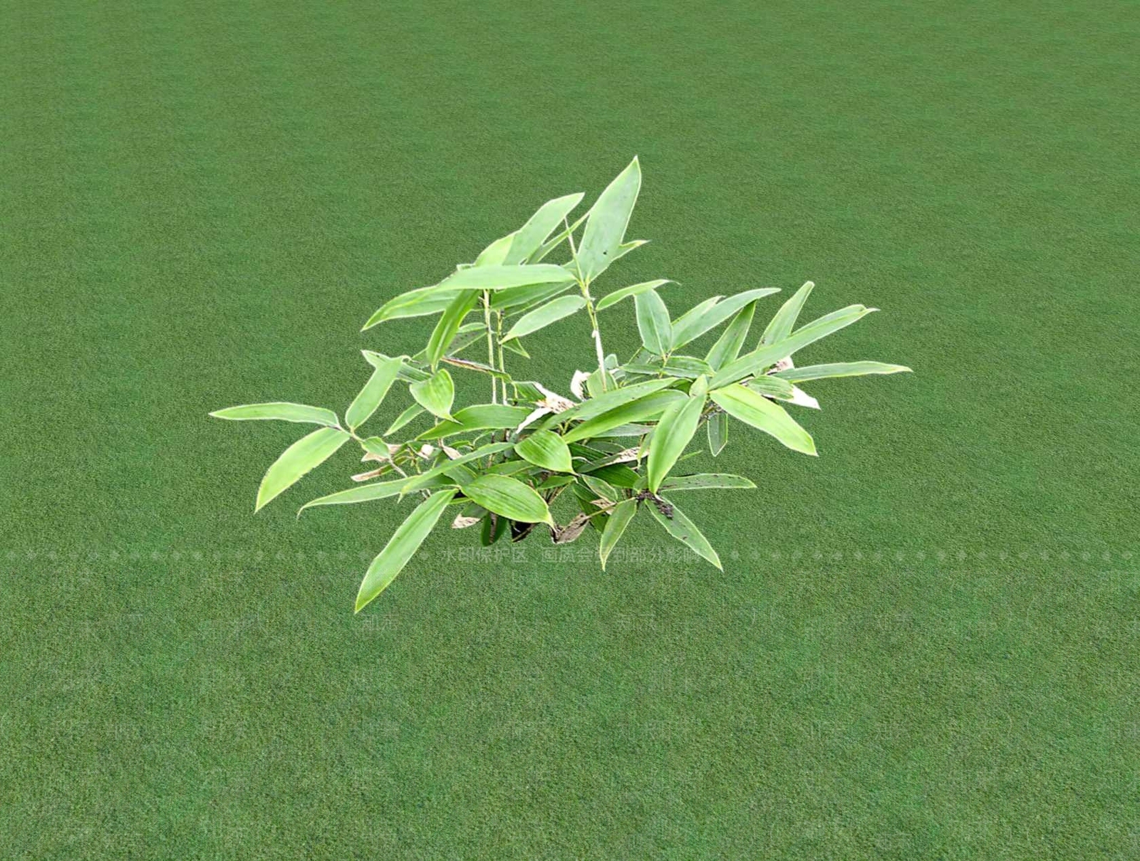 花草SU模型下载【ID:1201481503】