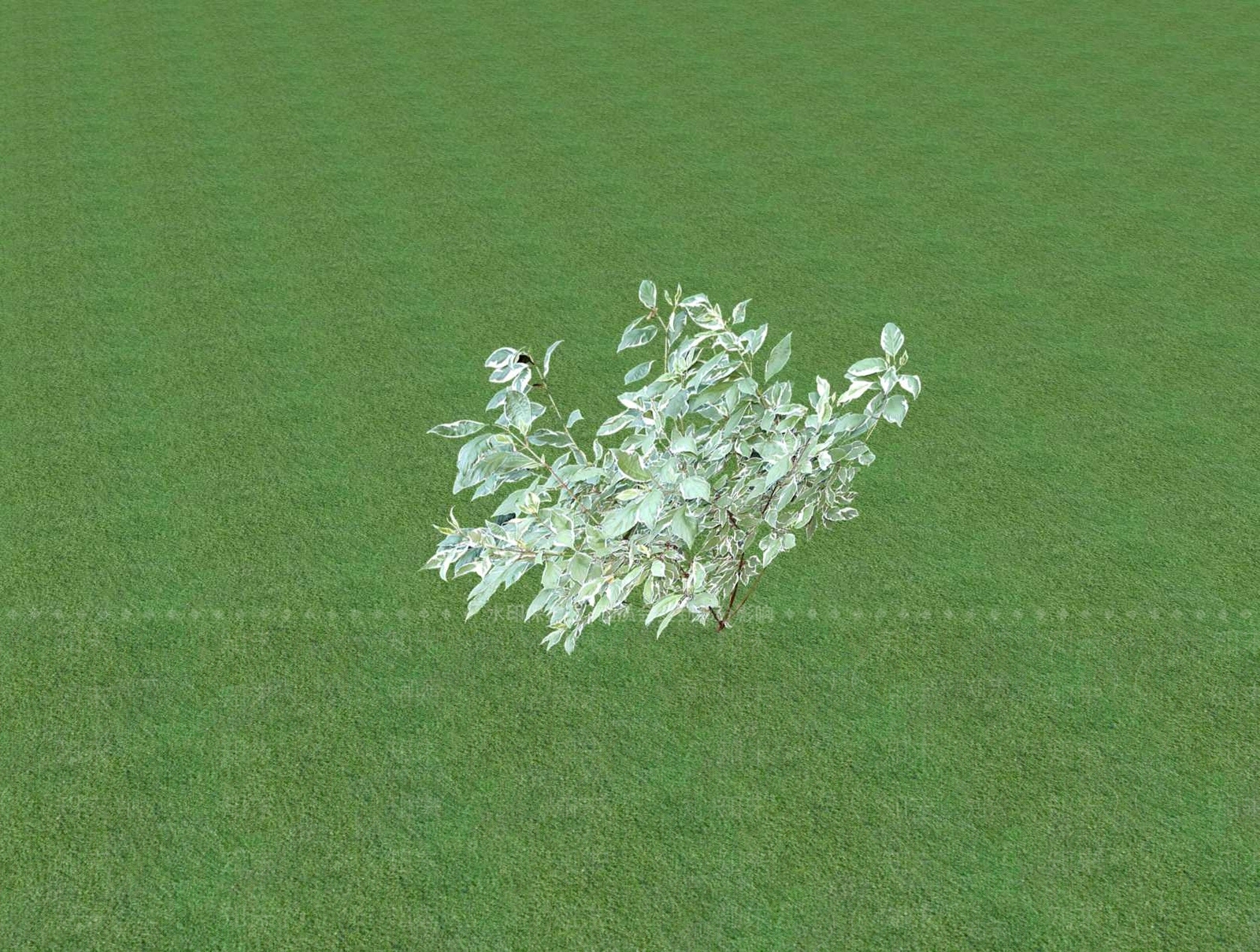 花草SU模型下载【ID:1201481565】