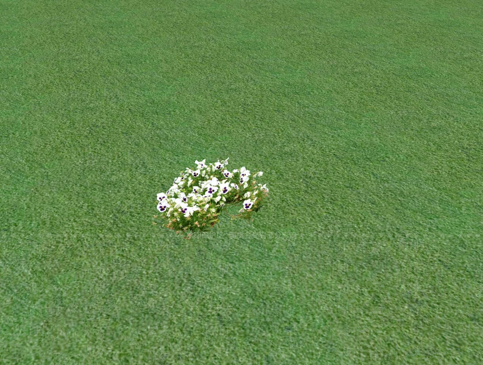 花草SU模型下载【ID:1201481567】
