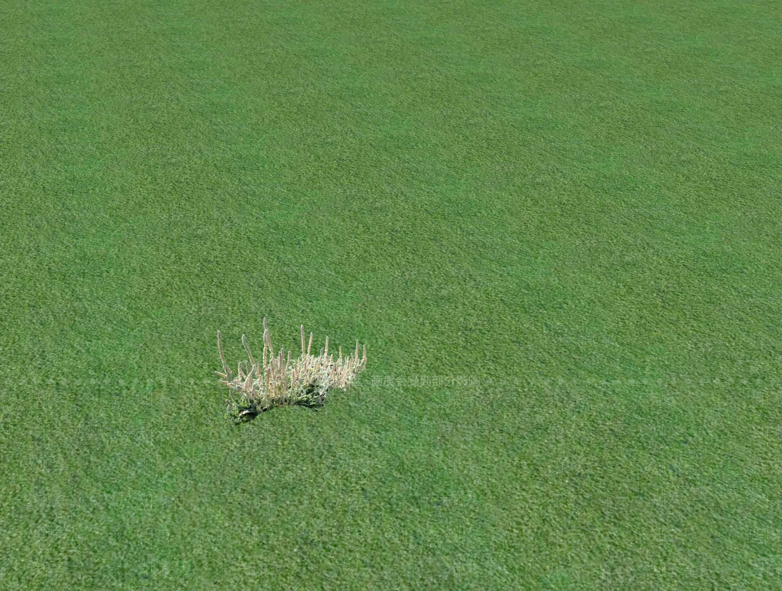 花草SU模型下载【ID:1201488973】