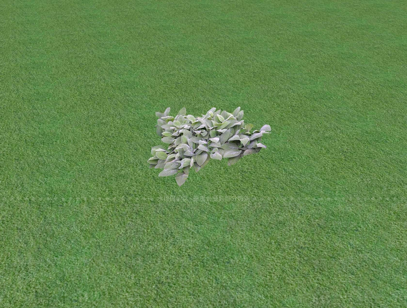 花草SU模型下载【ID:1201488956】